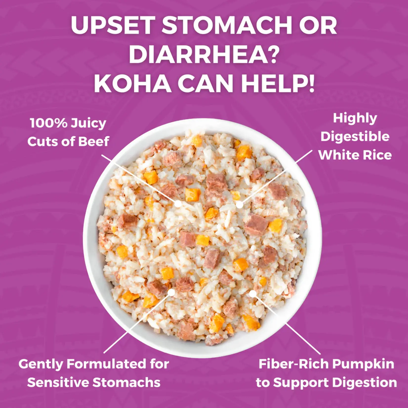KOHA 12.5 oz. - Beef & Rice w/ Pumpkin - LID Bland Diet - Koha- Dog