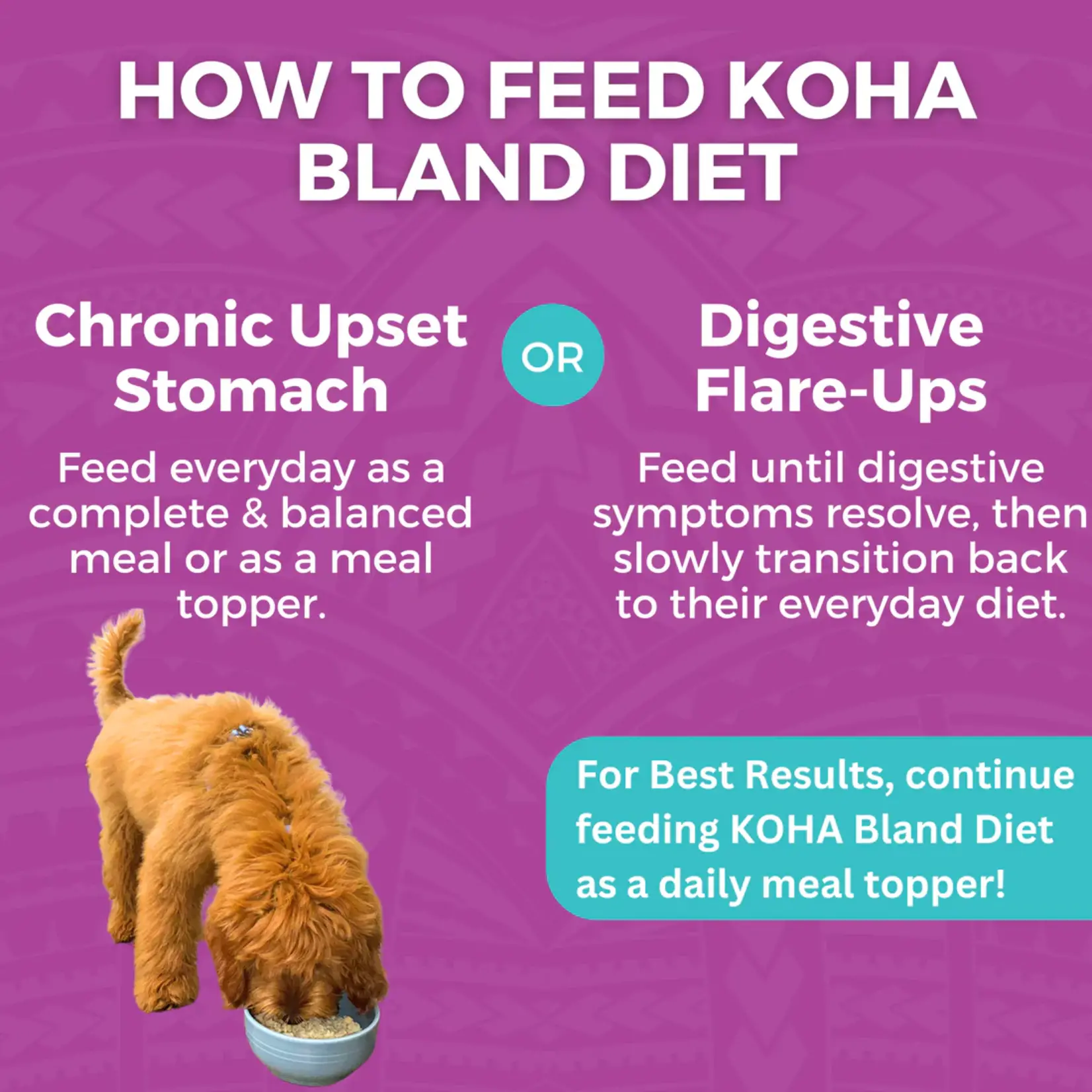 KOHA 12.5 oz. - Beef & Rice w/ Pumpkin - LID Bland Diet - Koha- Dog