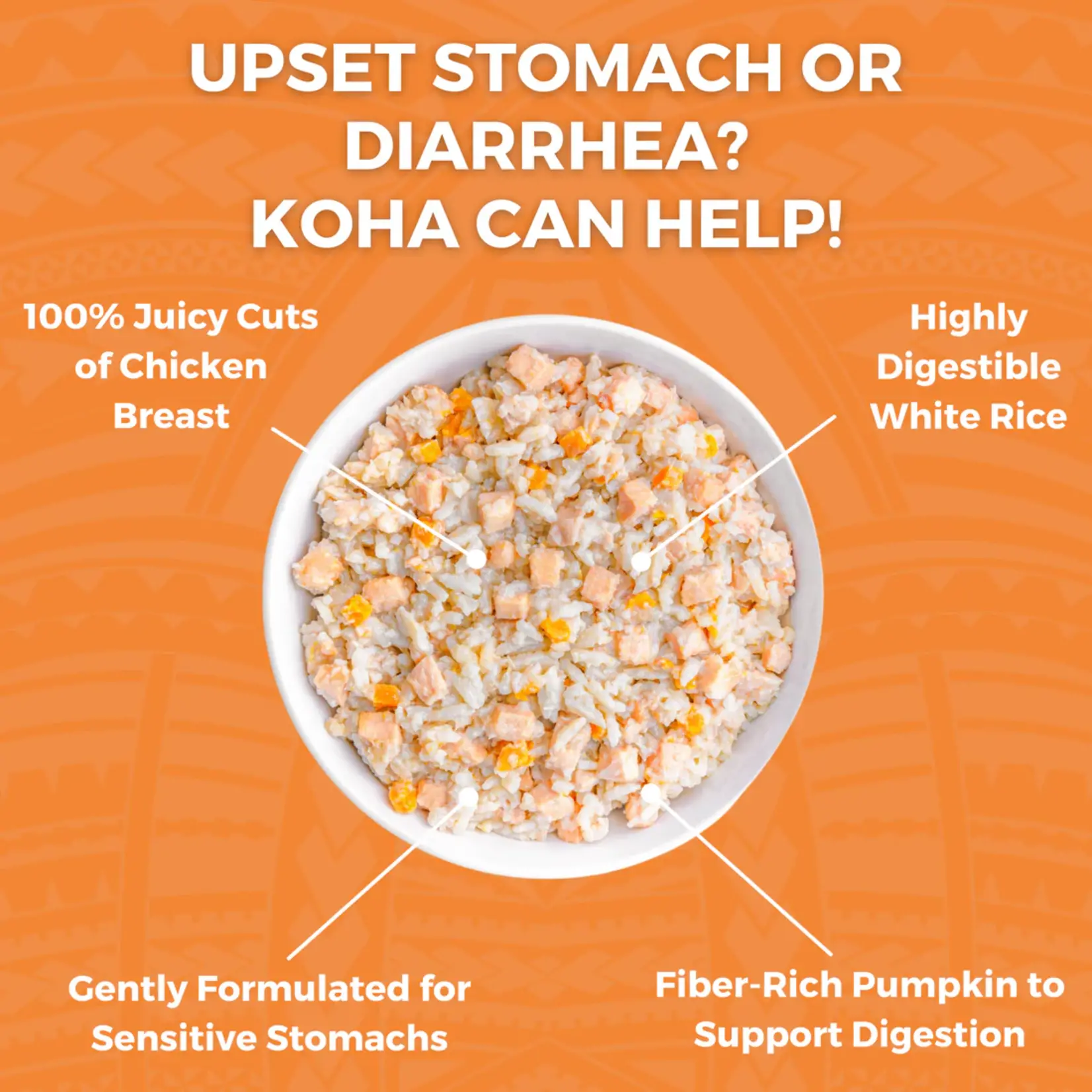 KOHA 12.5 oz. - Chicken & Rice w/ Pumpkin - LID Bland Diet - Koha- Dog