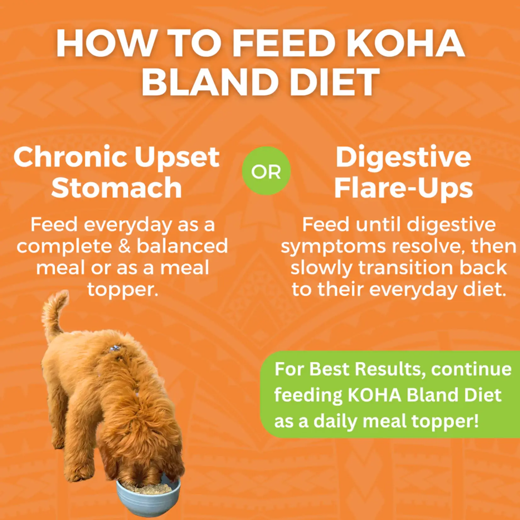 KOHA 12.5 oz. - Chicken & Rice w/ Pumpkin - LID Bland Diet - Koha- Dog
