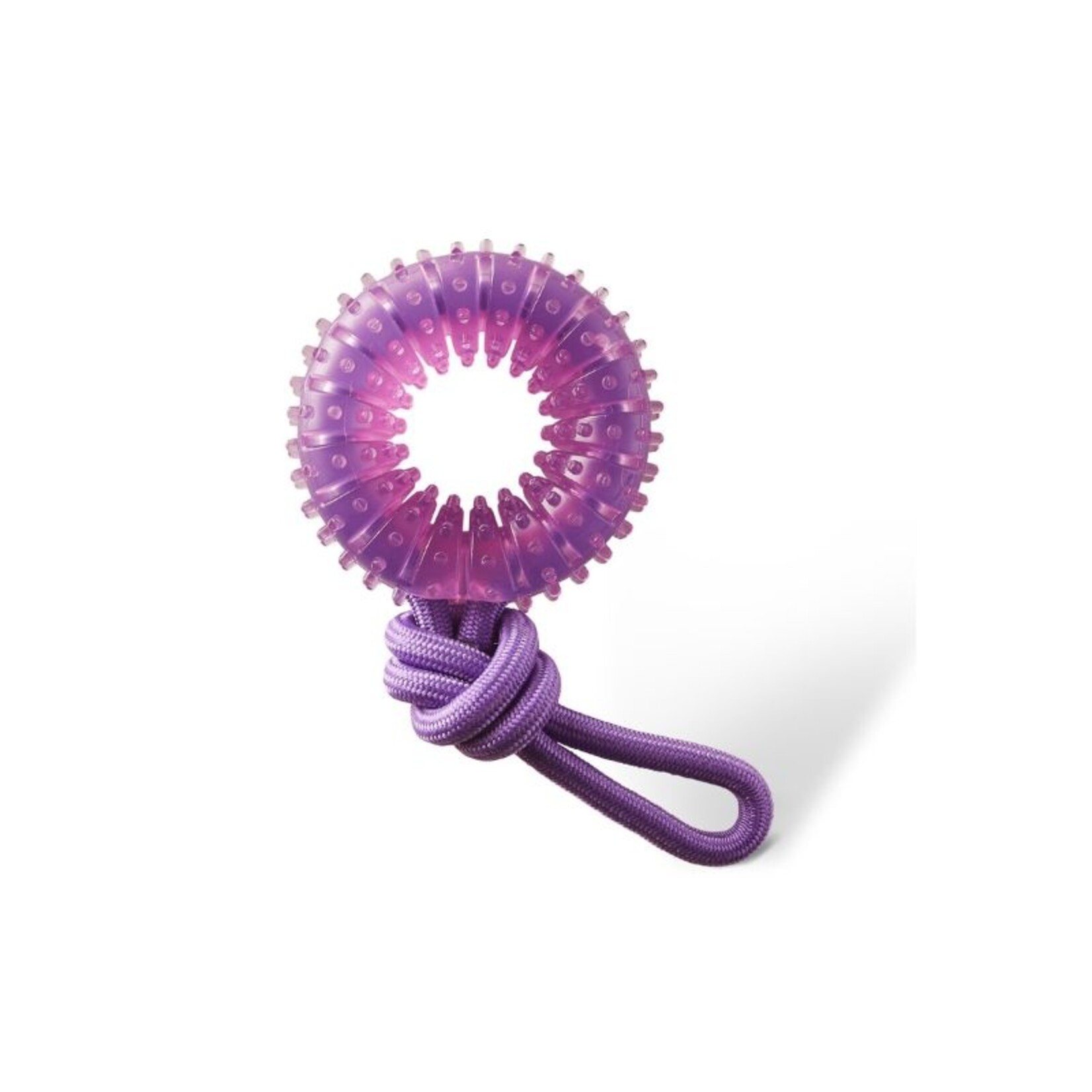 Outward Hound Purple Wheel - Dental Chew & Tug Dog Toy - Outward Hound