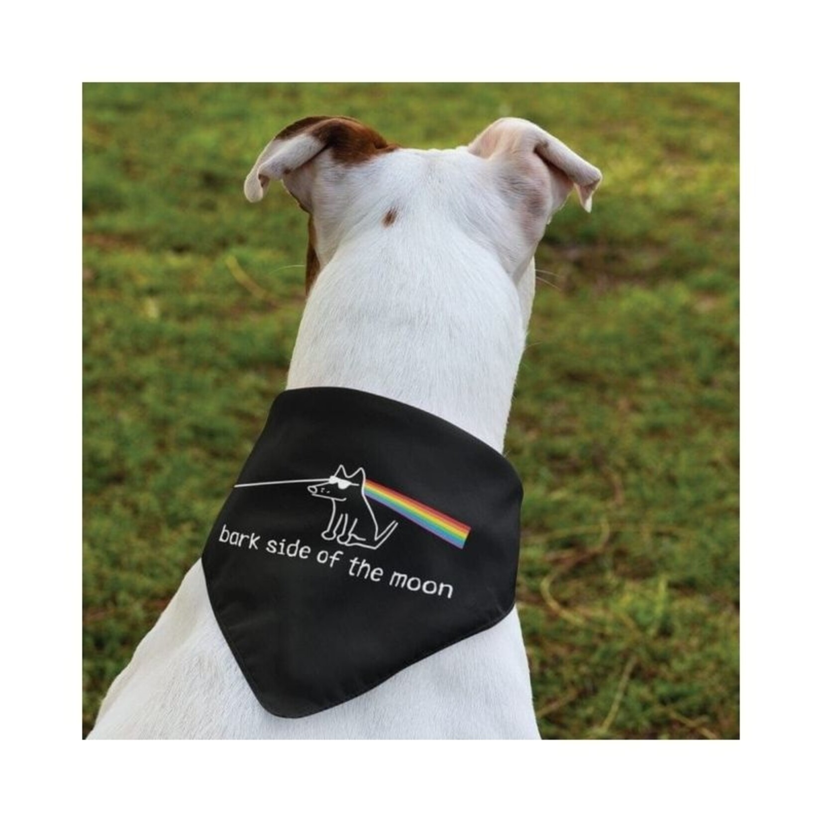 Teddy the Dog Bark Side of the Moon - Bandana - Teddy the Dog :