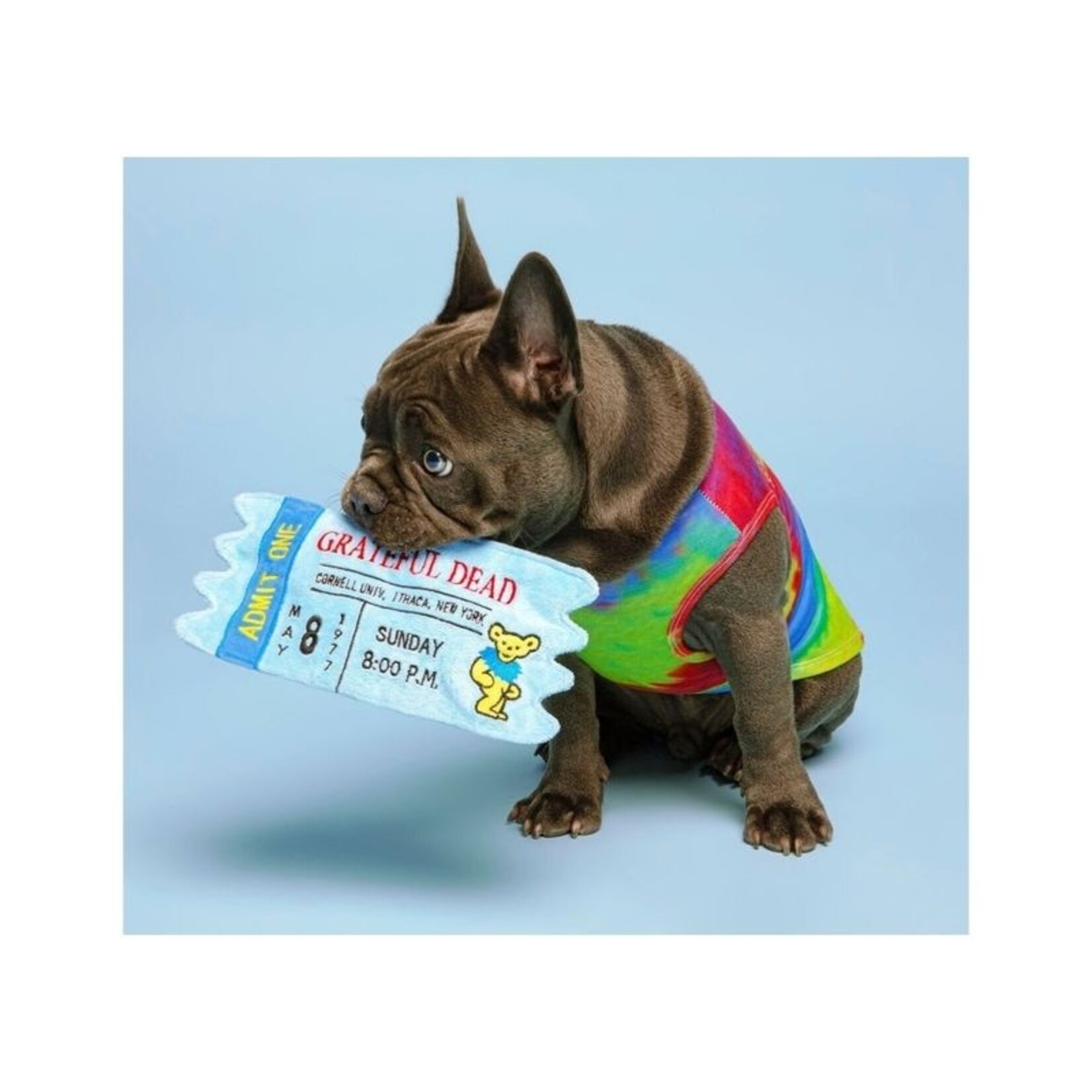 Fab Dog Inc Grateful Dead Concert Ticket - Plush Toy - FabDog