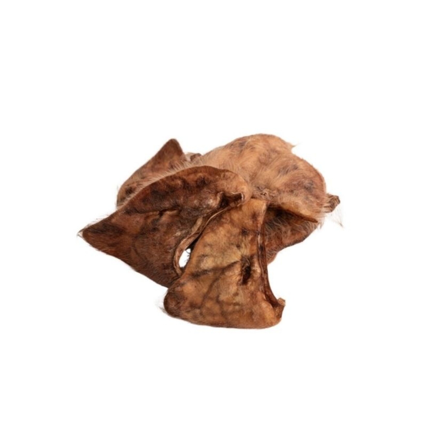 Momentum Carnivore Nutrition Natural Hairy Pig Ear - Freeze Dried Chew - Momentum