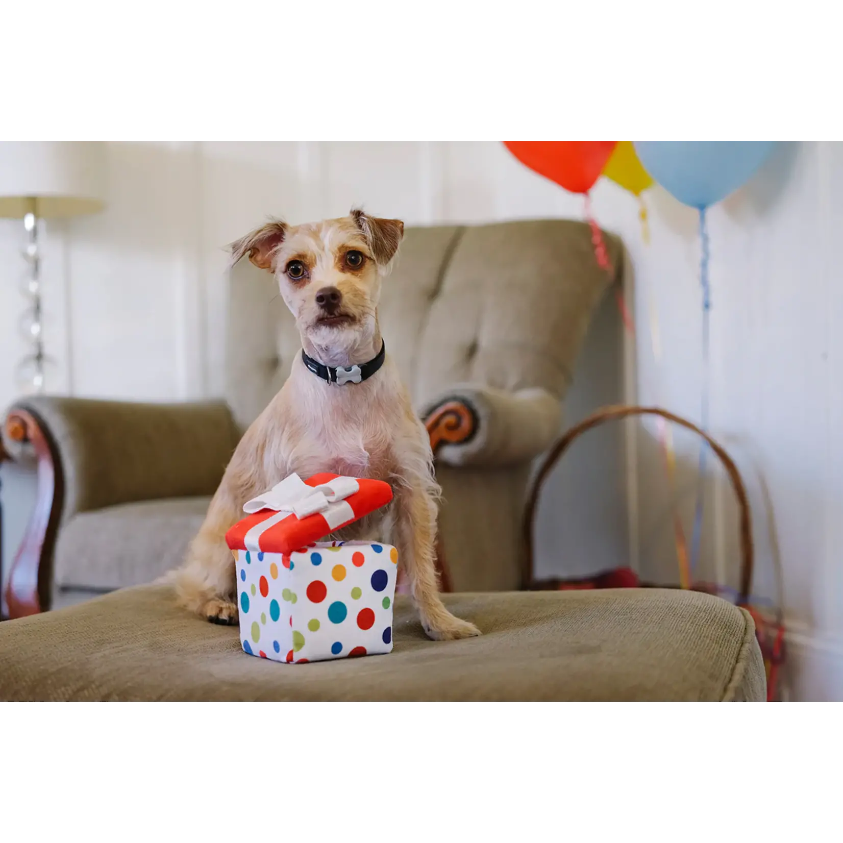 P.L.A.Y. Present Box - Party Time Collection Dog Toy - P.L.A.Y.