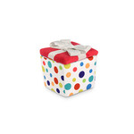 P.L.A.Y. Present Box - Party Time Collection Dog Toy - P.L.A.Y.