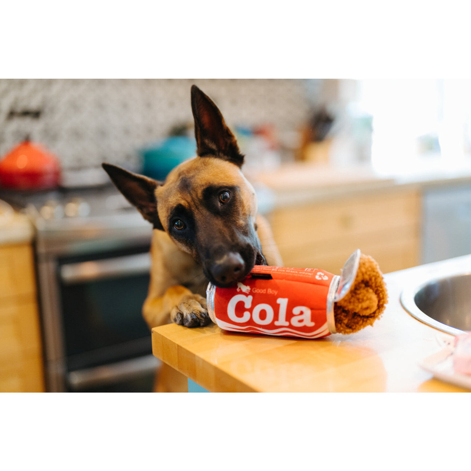 P.L.A.Y. Cola Can - Snack Attack Collection Dog Toy - P.L.A.Y.