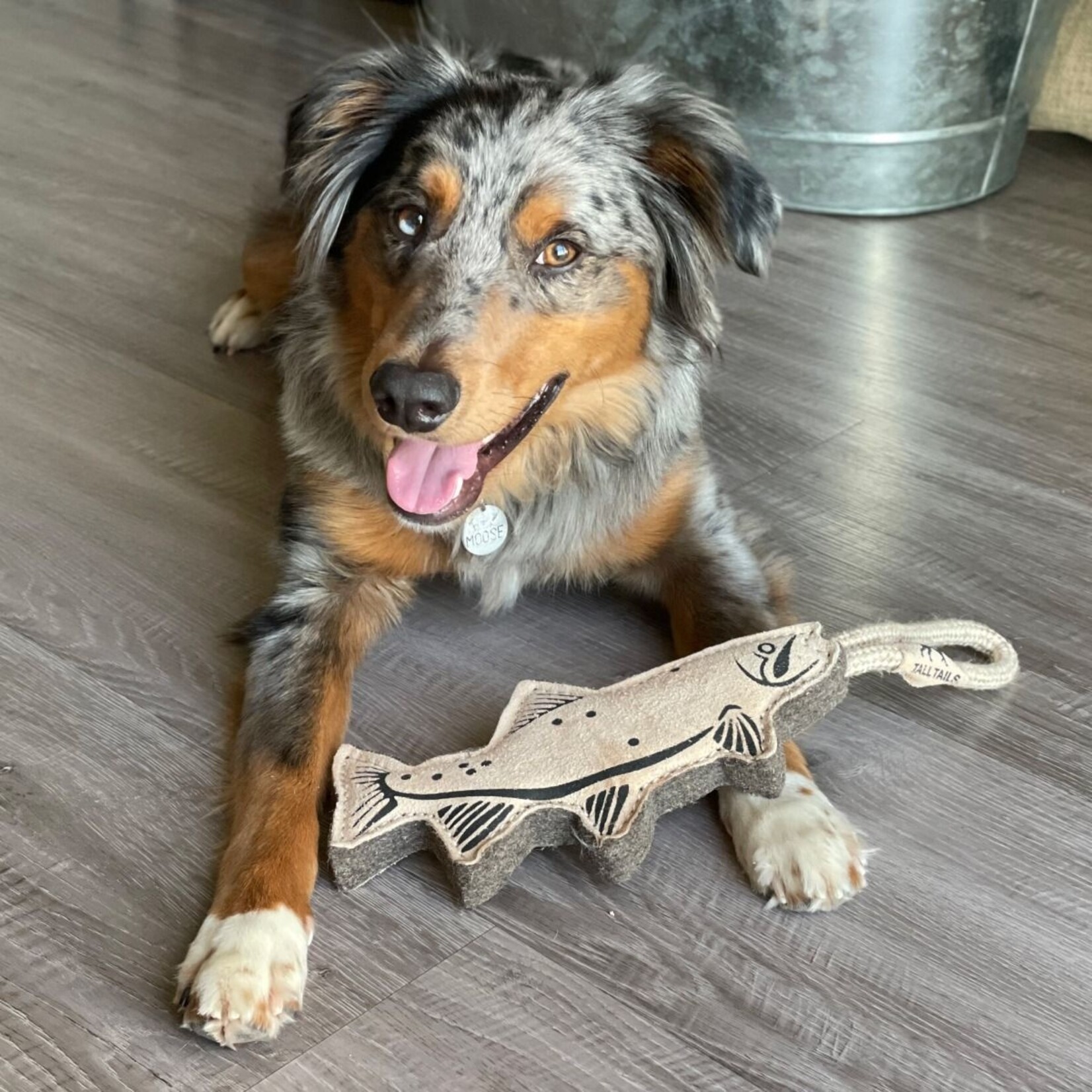Tall Tails 16” - Trout - Natural Leather - Tug Toy - Tall Tails