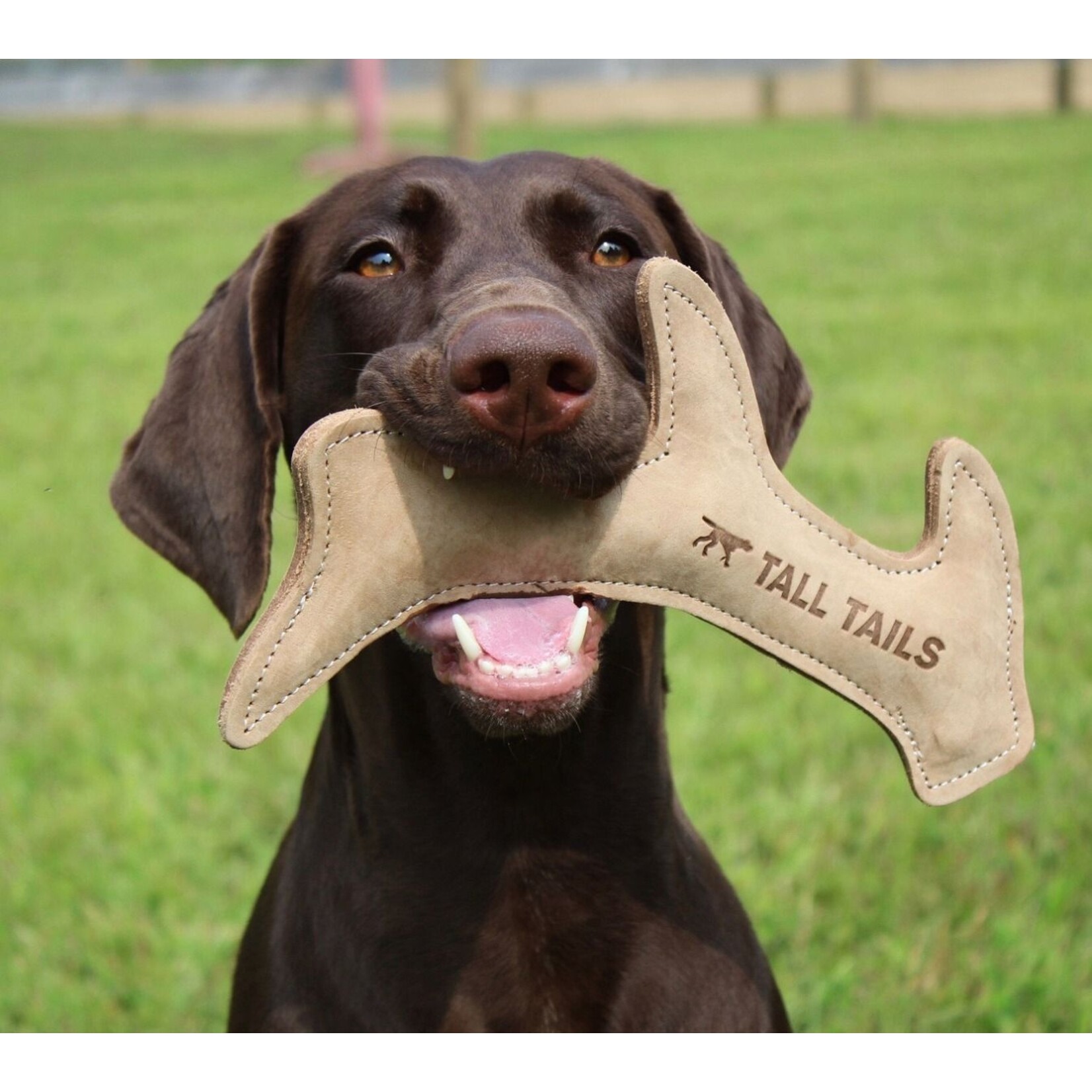 Tall Tails 11” - Antler - Natural Leather - Dog Toy - Tall Tails