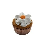 Swell Pupcake - Frozen Dog Treat - Swell :  Pumpkin