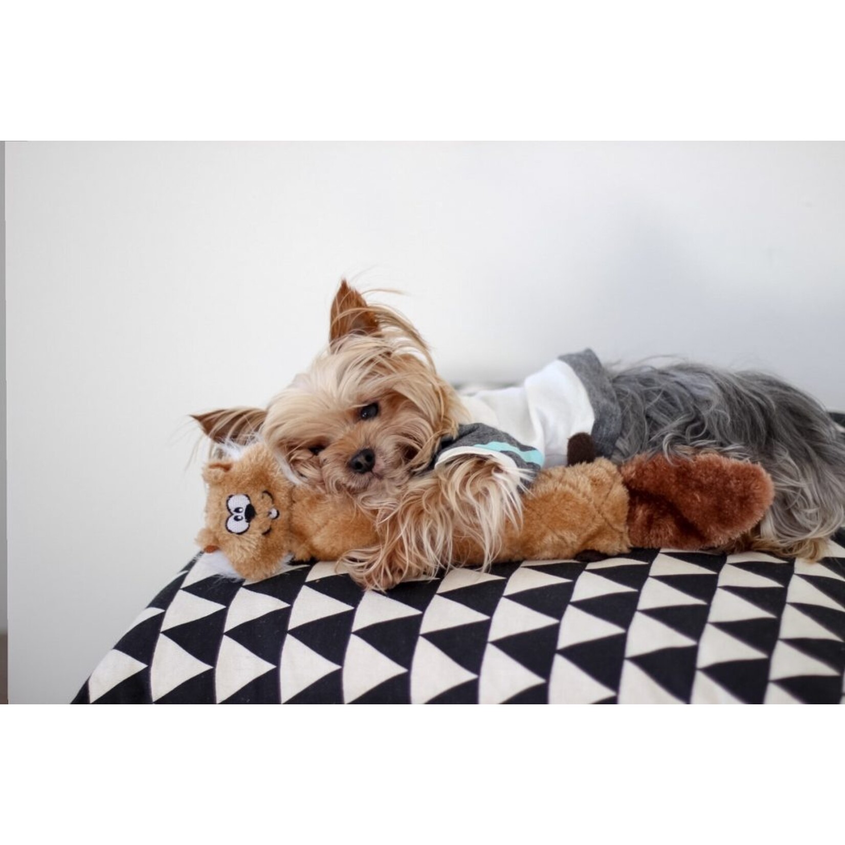 ZippyPaws Chipmunk - Jigglerz - Dog Toy - Zippy Paws