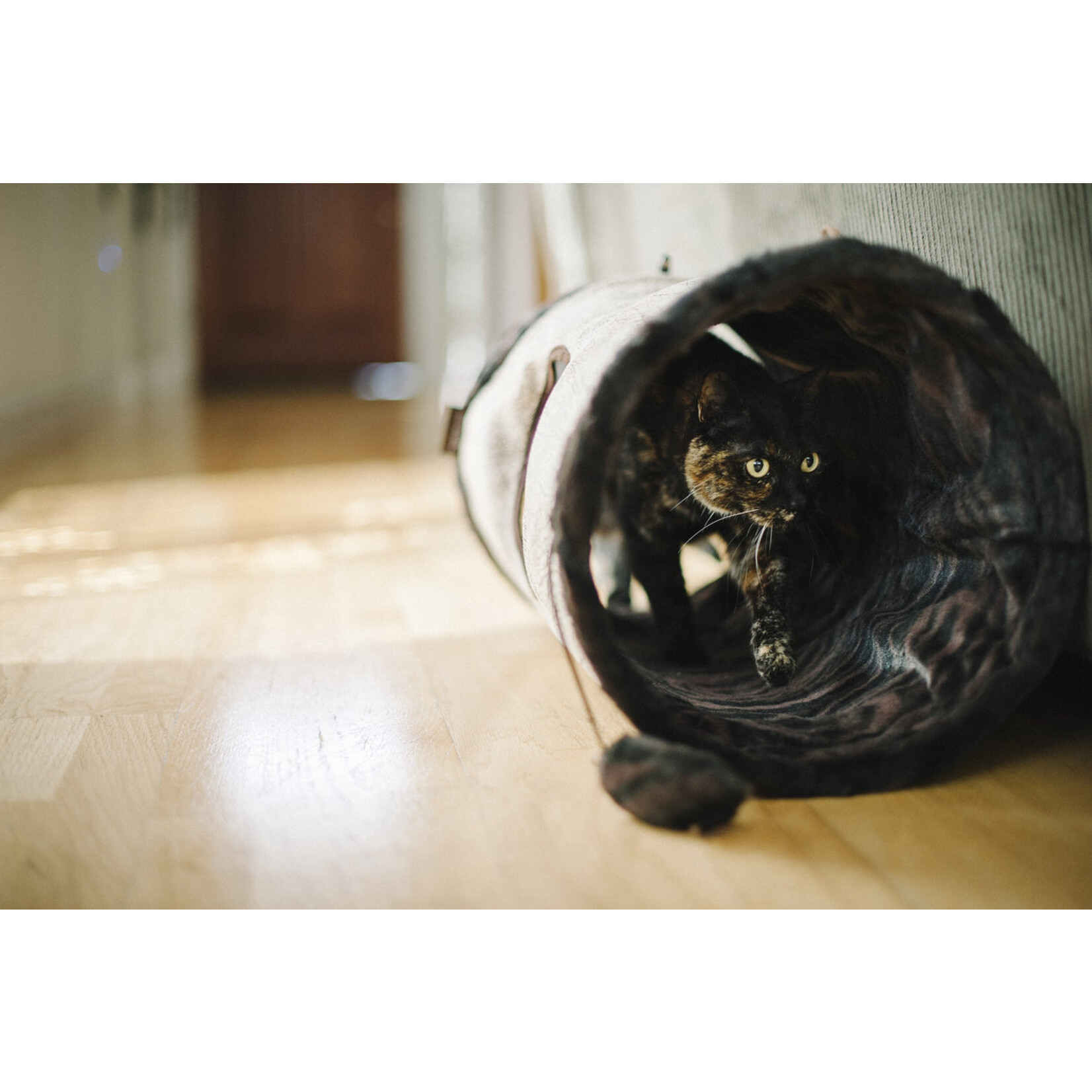 P.L.A.Y. Brown - Purr & Pounce Cat Tunnel -  P.L.A.Y.