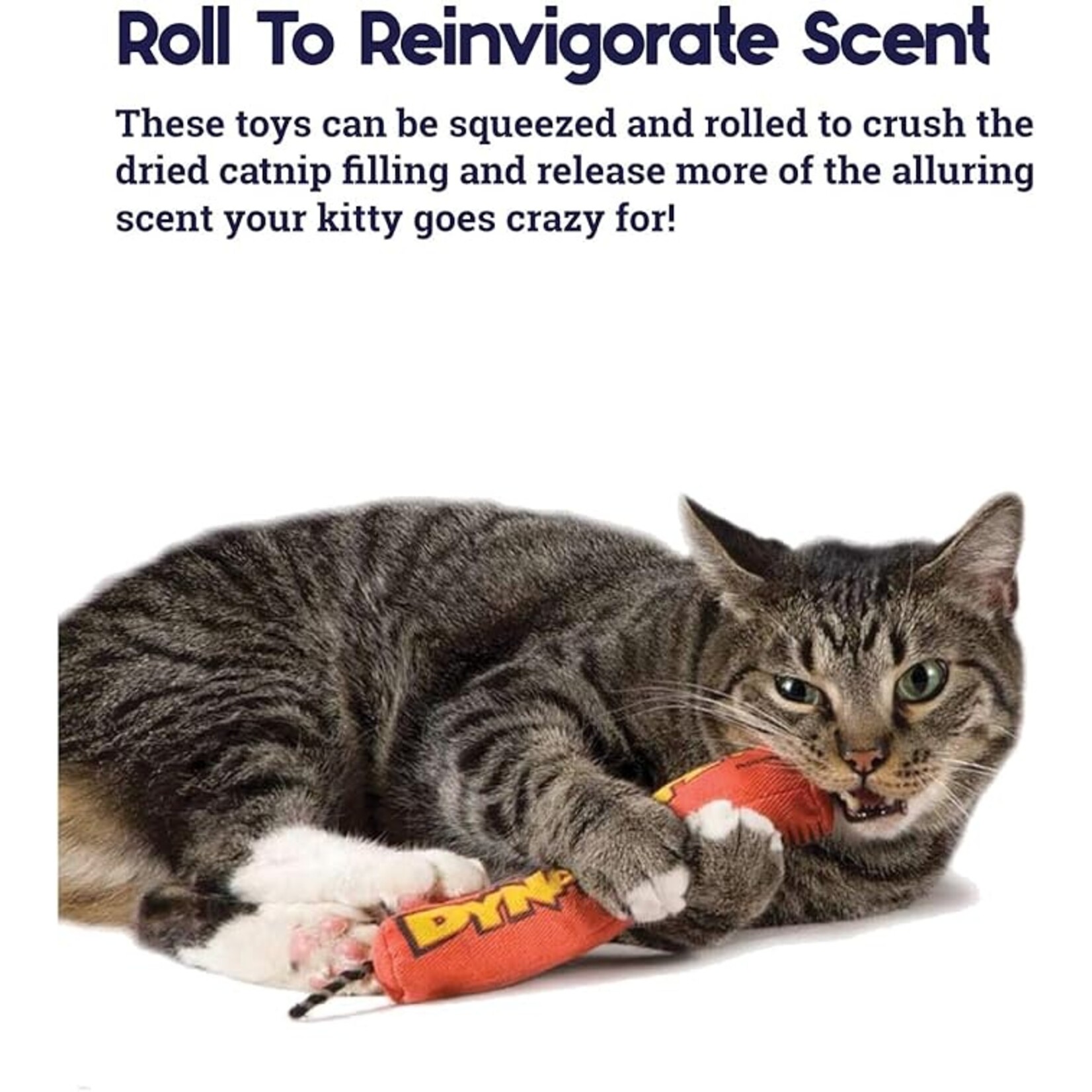 Catstages / Outward Hound Dynamite Stick - Catnip Toy - Catstages