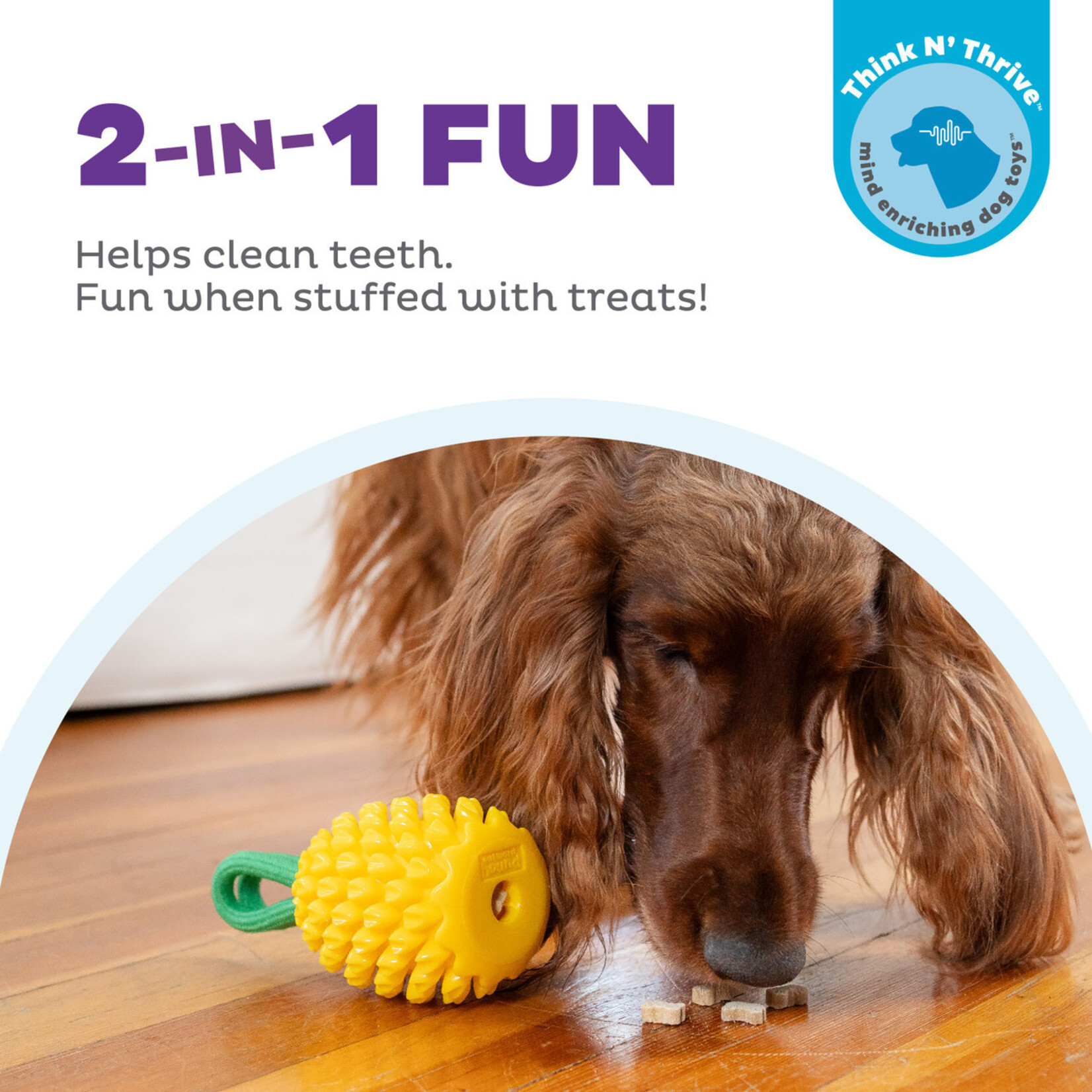 Planet Dog / Outward Hound Yellow Pineapple - Dental Toy - Outward Hound