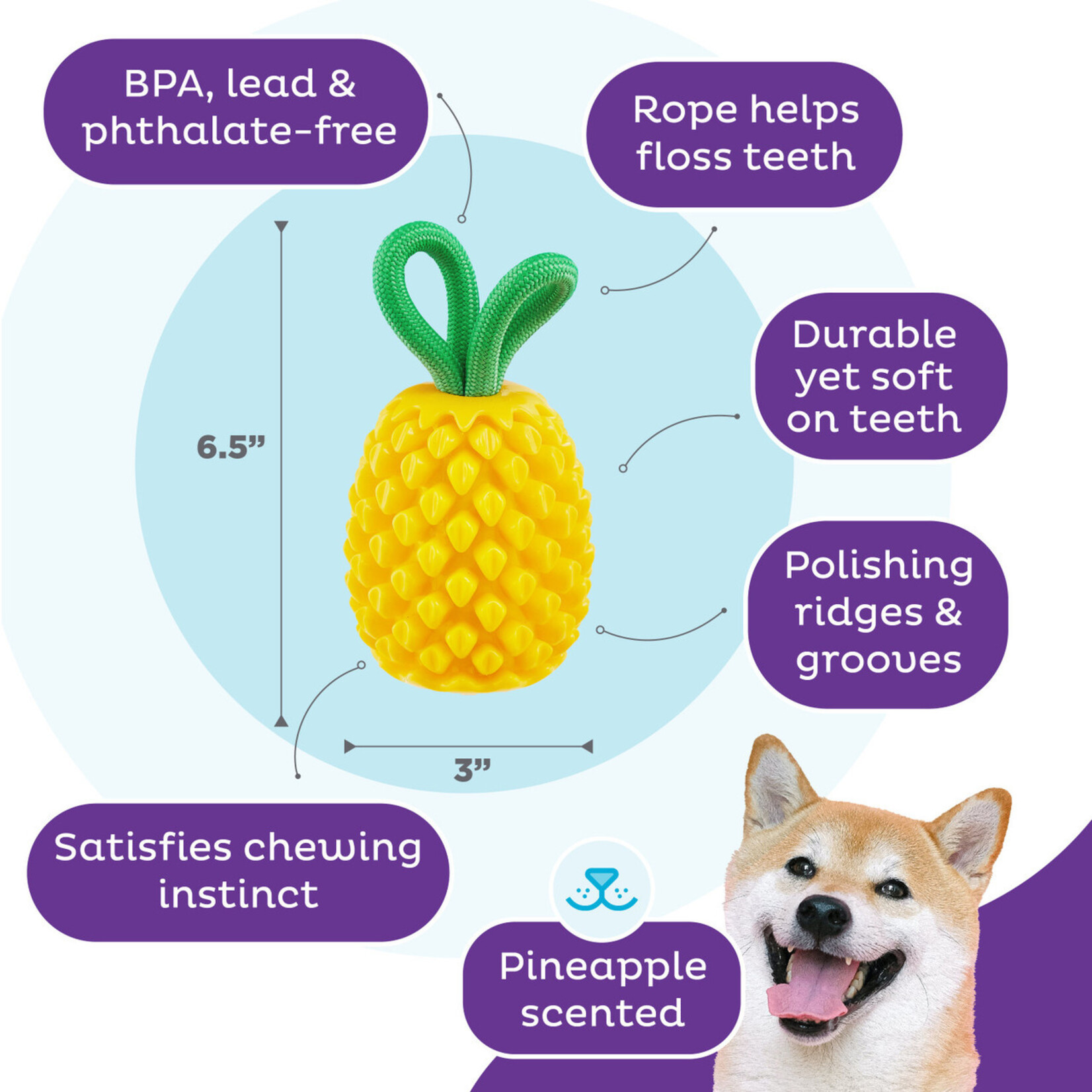 Planet Dog / Outward Hound Yellow Pineapple - Dental Toy - Outward Hound