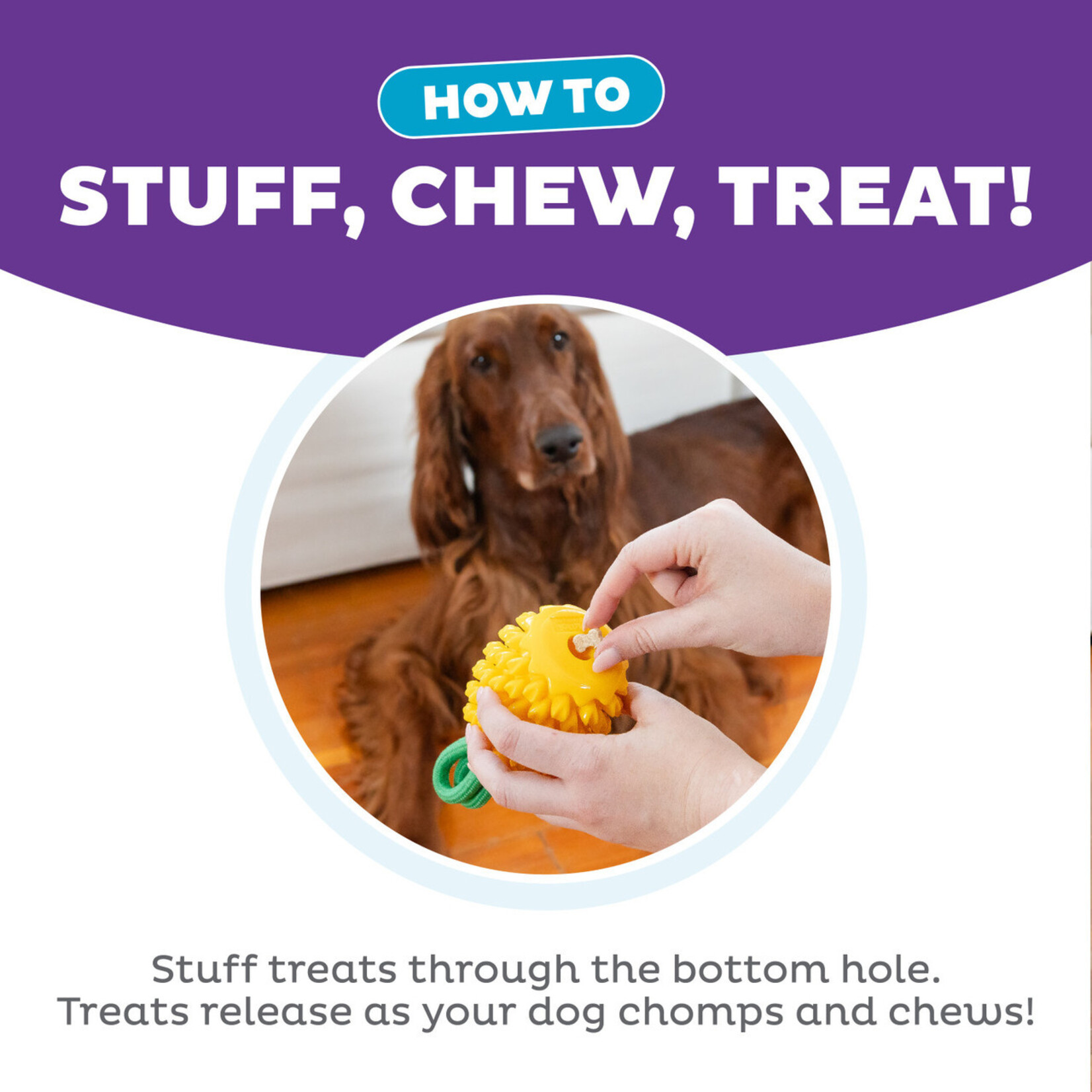 Planet Dog / Outward Hound Yellow Pineapple - Dental Toy - Outward Hound