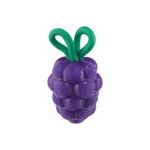 Planet Dog / Outward Hound Purple Grapes - Dental Toy - Outward Hound