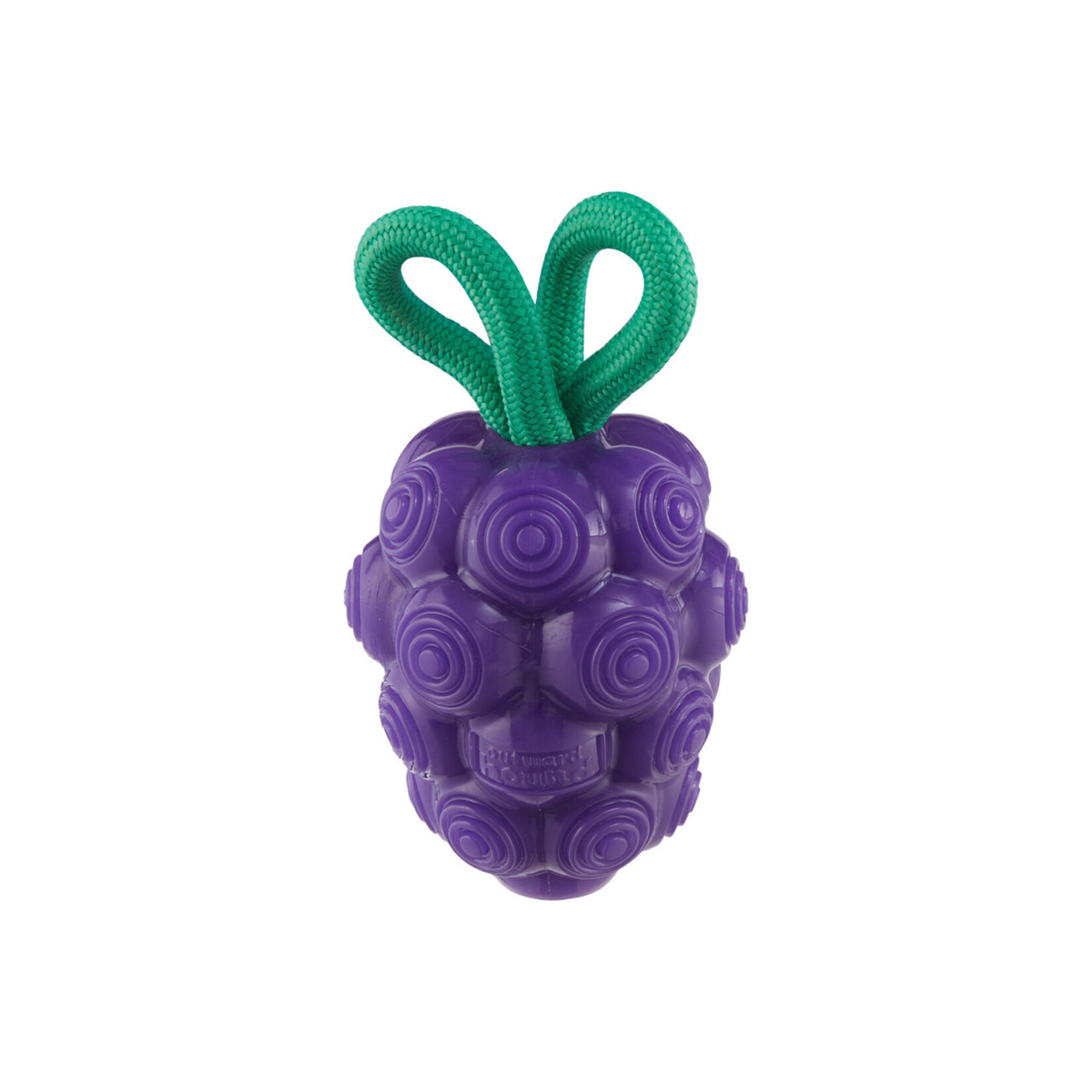 Planet Dog / Outward Hound Purple Grapes - Dental Toy - Outward Hound