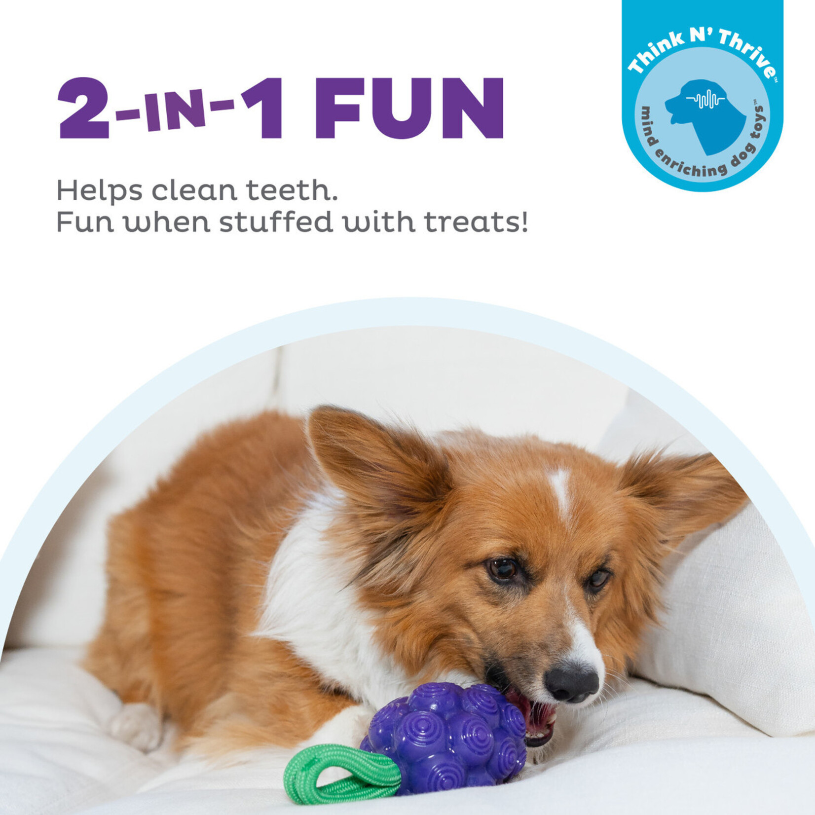 Planet Dog / Outward Hound Purple Grapes - Dental Toy - Outward Hound