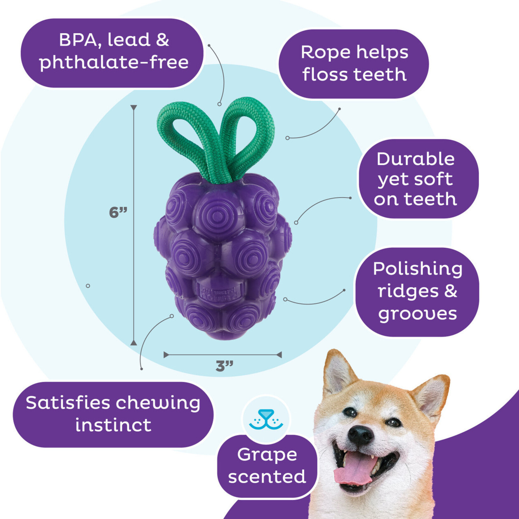Planet Dog / Outward Hound Purple Grapes - Dental Toy - Outward Hound