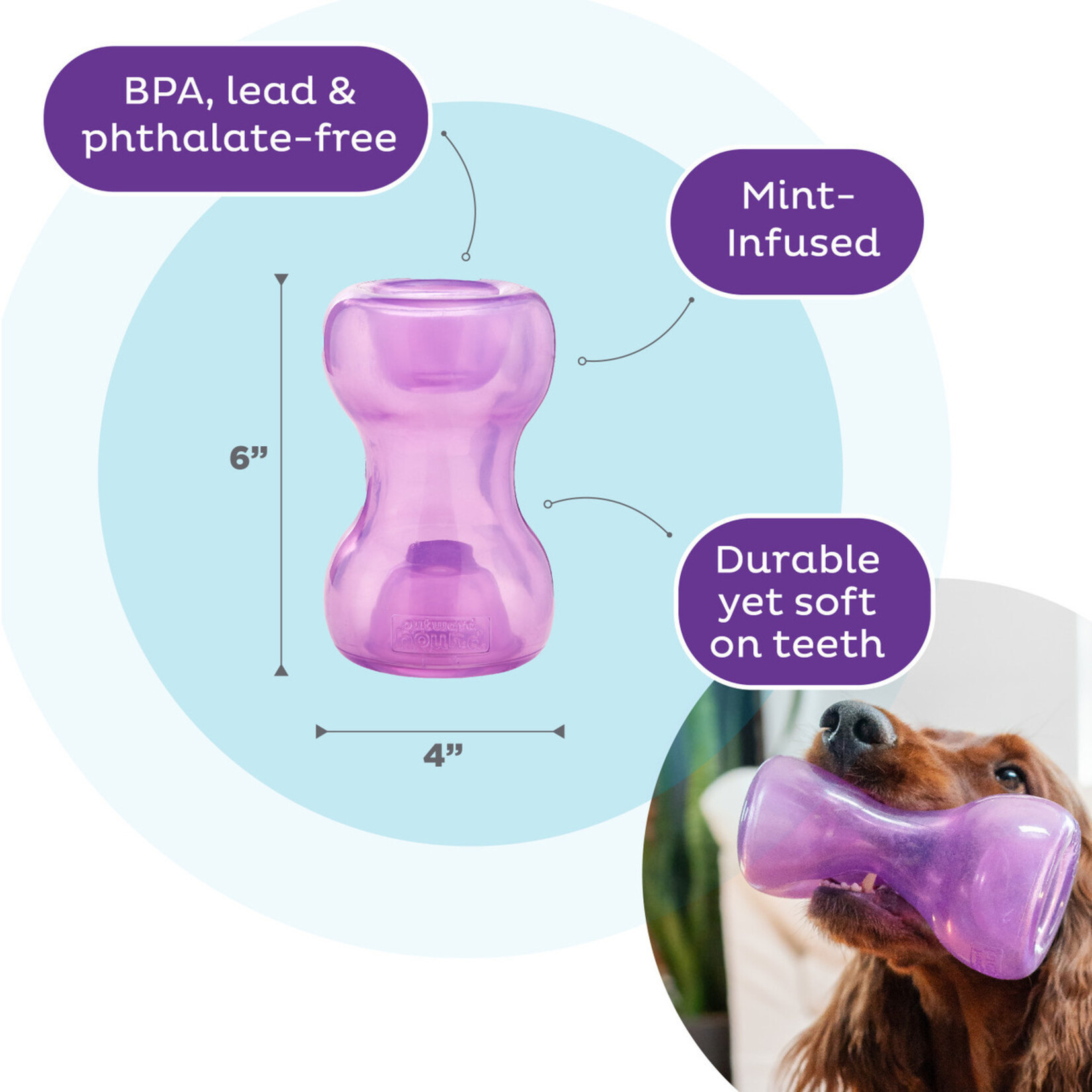 Planet Dog / Outward Hound Double Snoop - Purple - Treat Puzzle Toy - Outward Hound