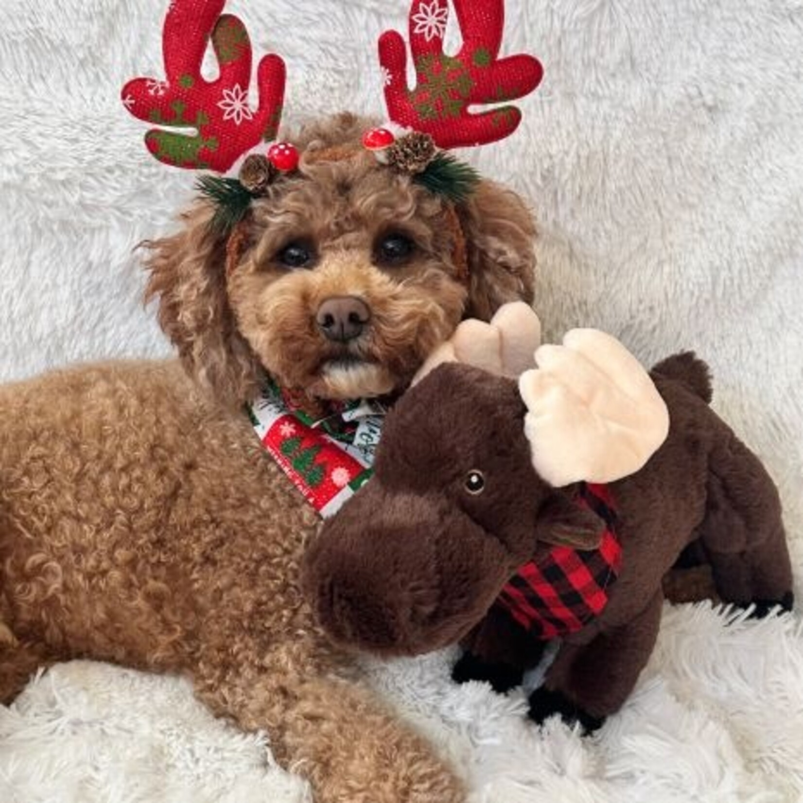 Tall Tails Lg. - Moose - Animated Dog Toy - Tall Tails