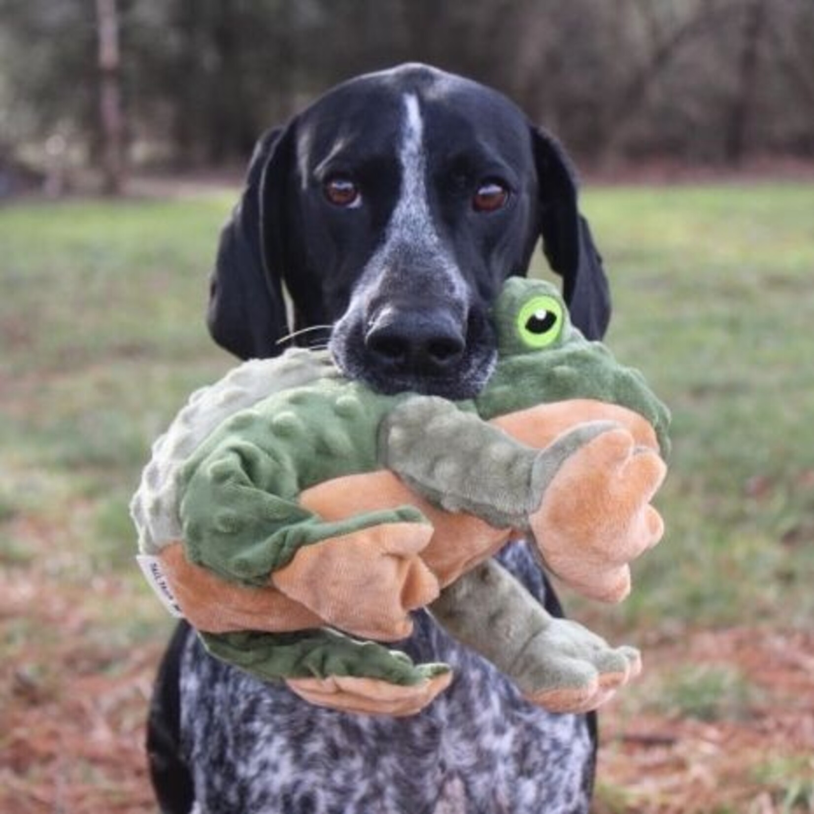 Tall Tails 12” - Frog - Animated Dog Toy - Tall Tails