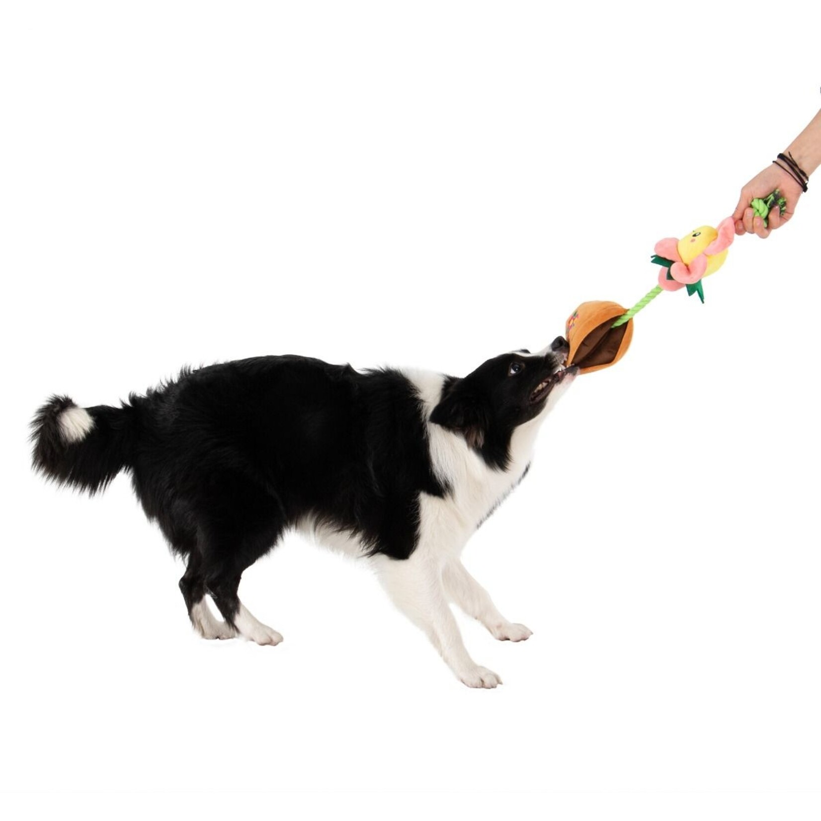 Territory Sunflower Pot - Treat & Tug (Rope & Plush) Toy - Territory