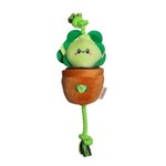 Territory Lettuce Pot - Treat & Tug (Rope & Plush) Toy - Territory