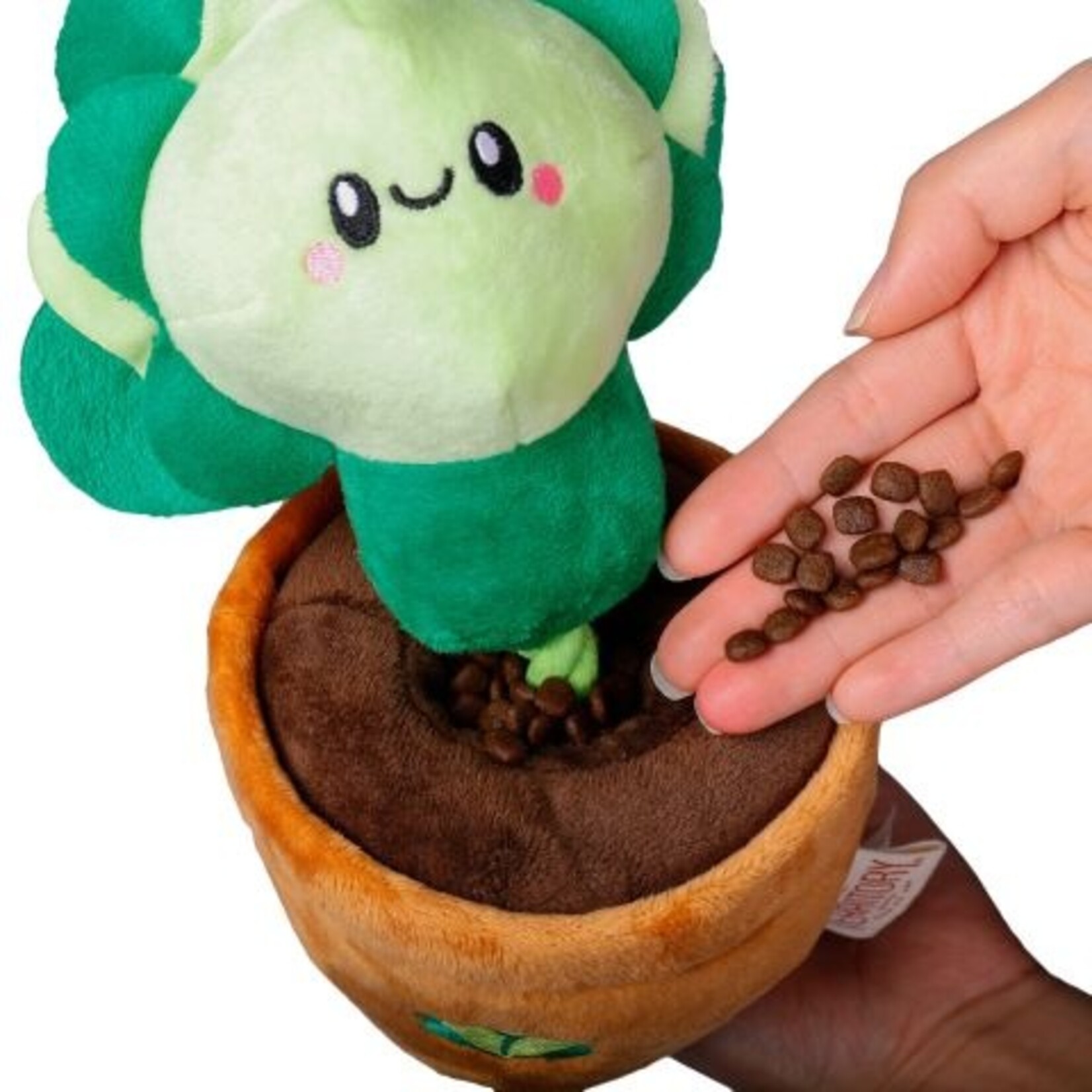 Territory Lettuce Pot - Treat & Tug (Rope & Plush) Toy - Territory
