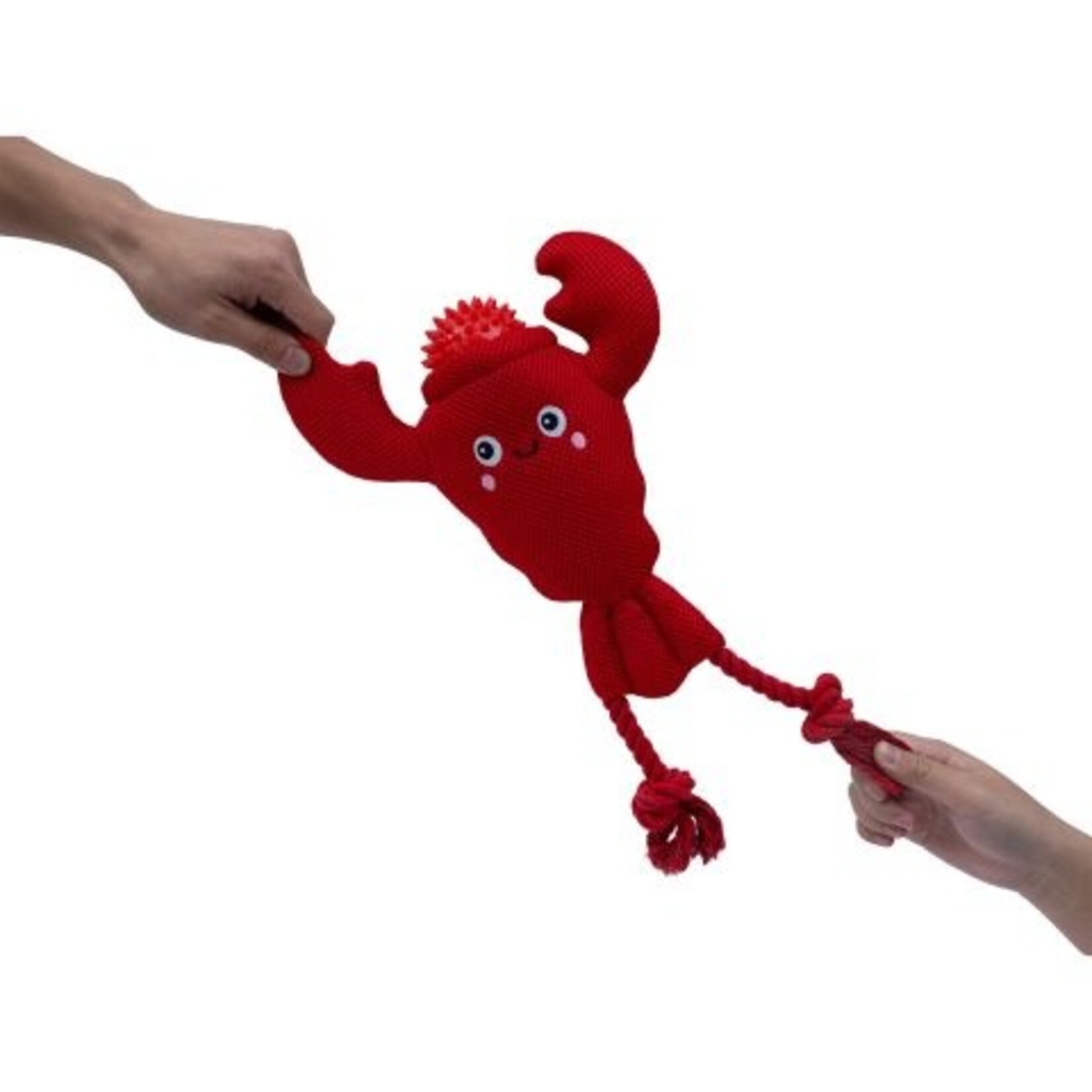 Territory Lobster - 2-in-1 (Rope & Ball) Toy - Territory
