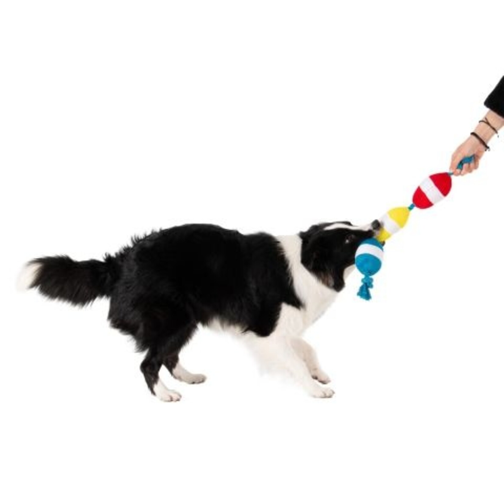 Territory Buoys - Rope Stringer - Tug Toy - Territory