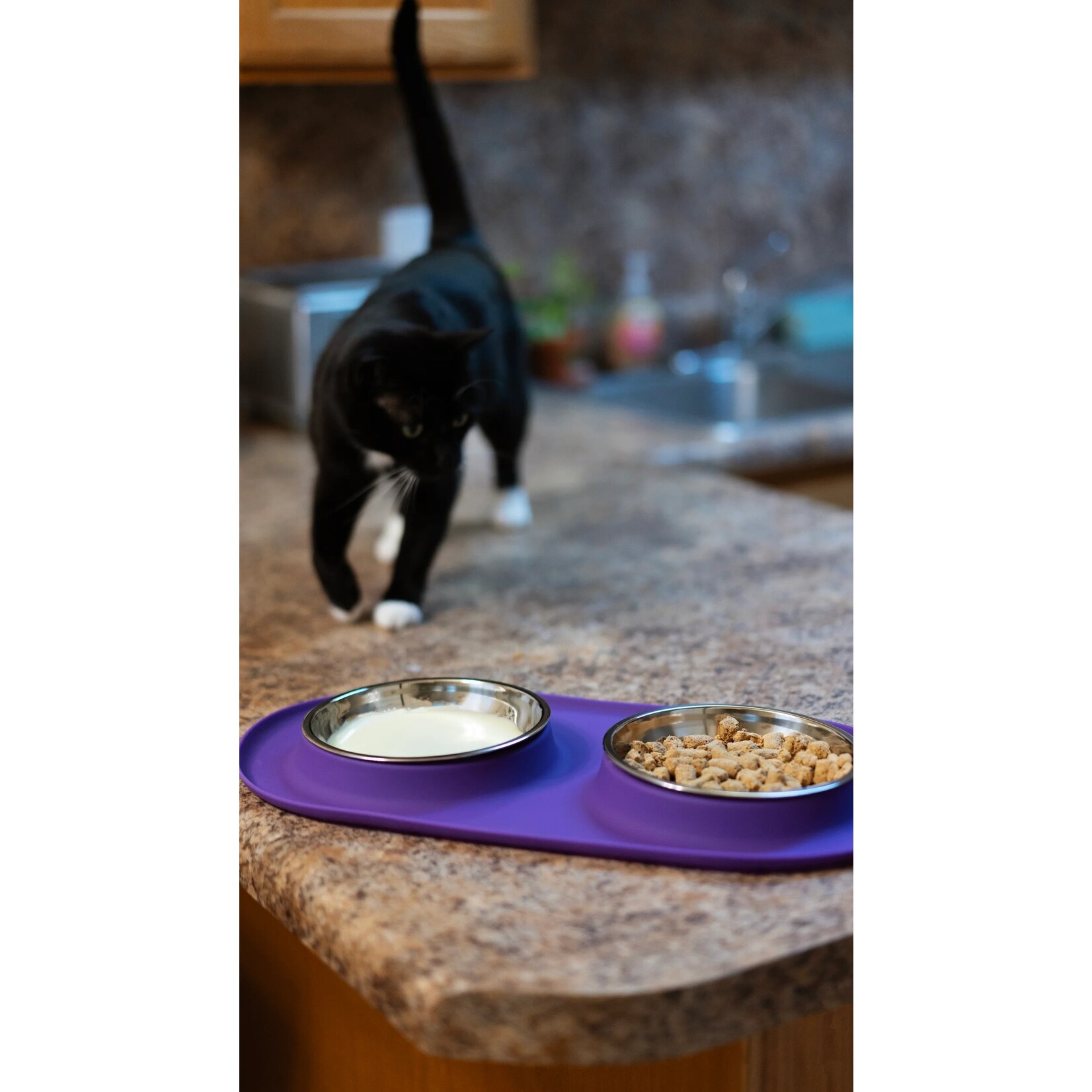 Messy Mutts Double Feeder w/ 2 Bowls - Messy Mutts / Messy Cats :