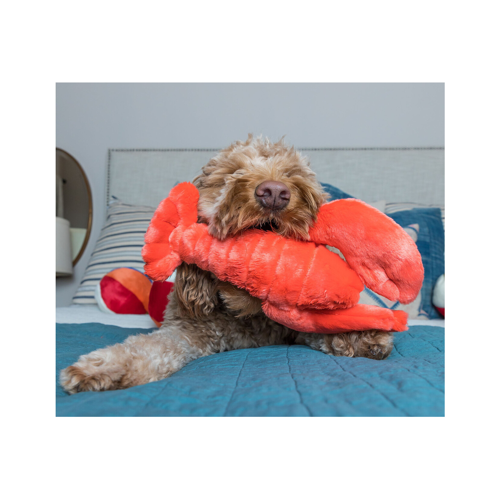 Fluff & Tuff Med. - Manny Lobster - Plush Dog Toy - Fluff & Tuff