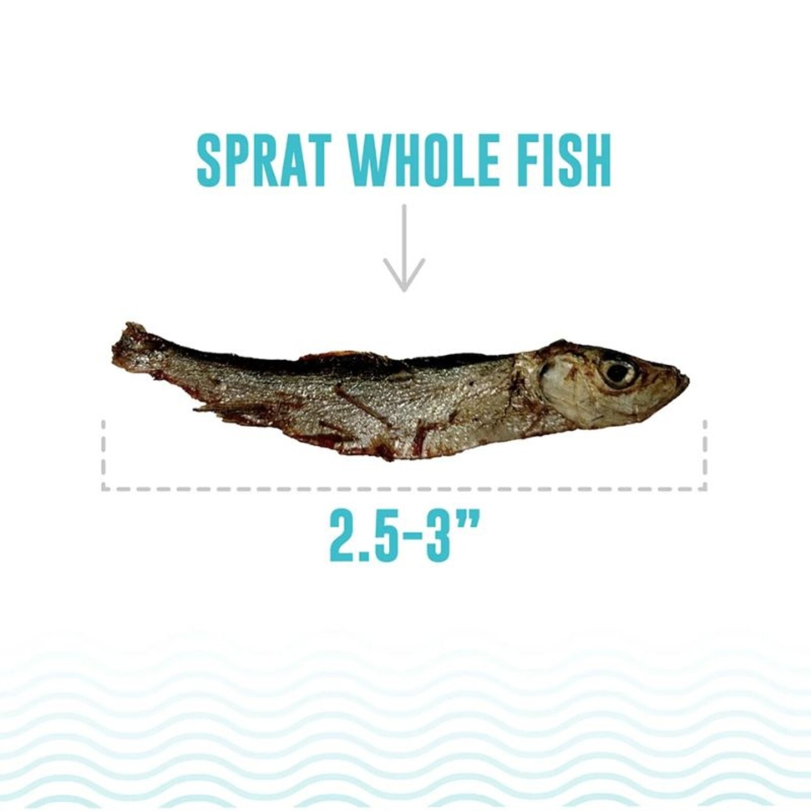 Icelandic Pure .85 oz. - Sprat - Whole Fish - Icelandic Pure