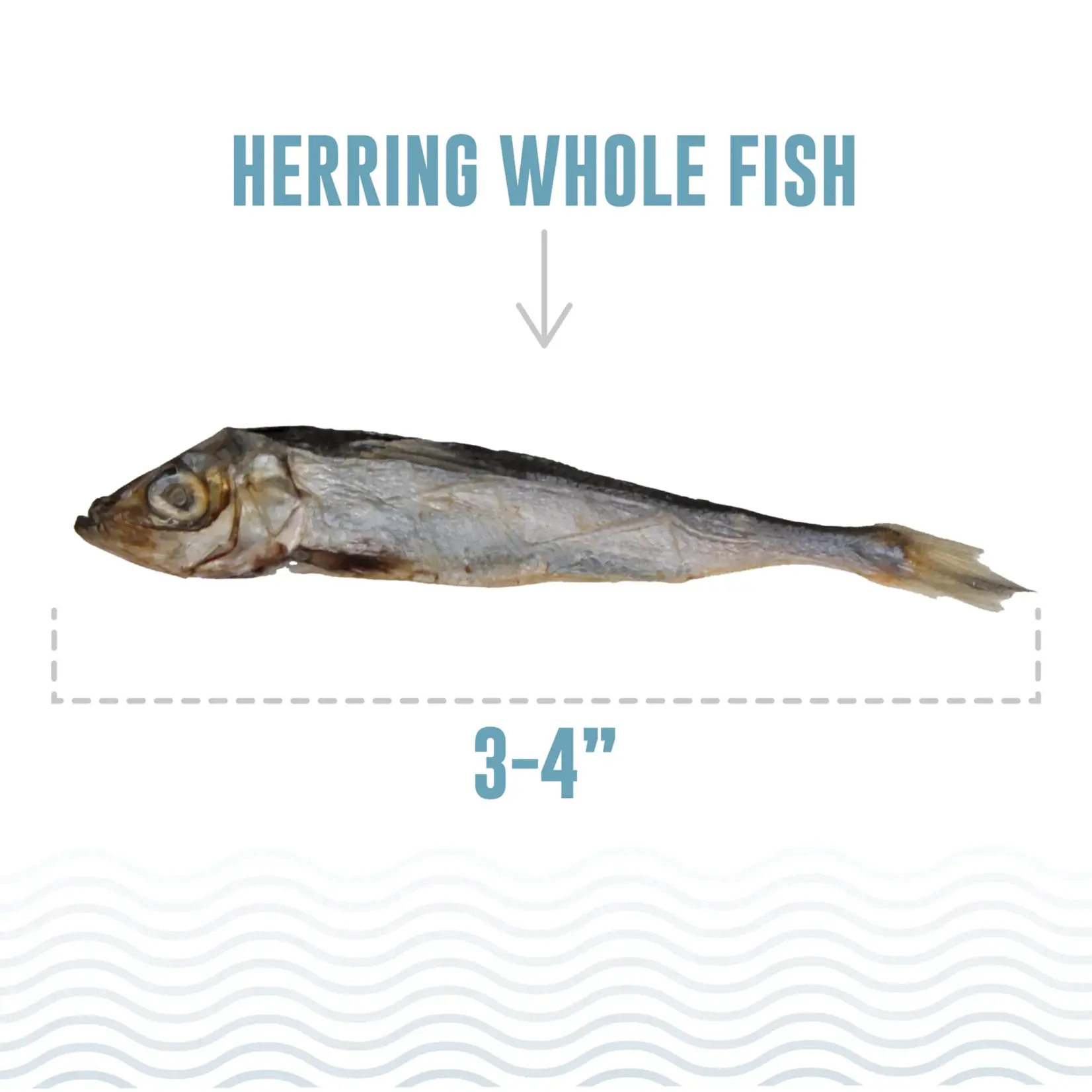Icelandic Pure 3 oz. - Herring - Whole Fish - Icelandic Pure