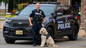 From Sick to Superdog