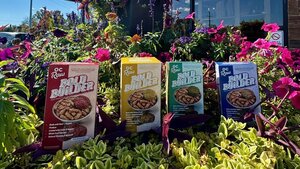 Meet the Bold Builders from OC Raw!