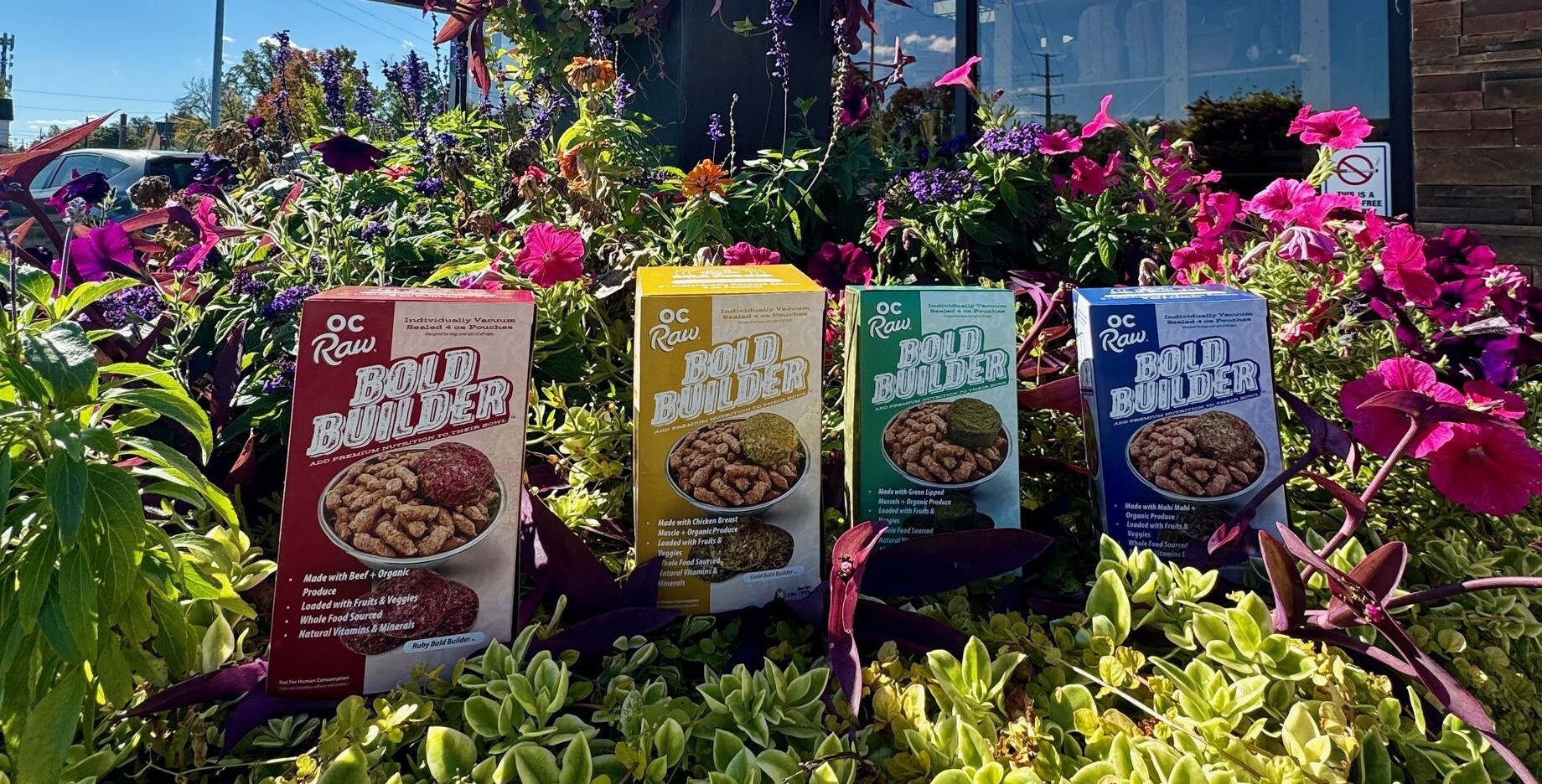 Meet the Bold Builders from OC Raw!