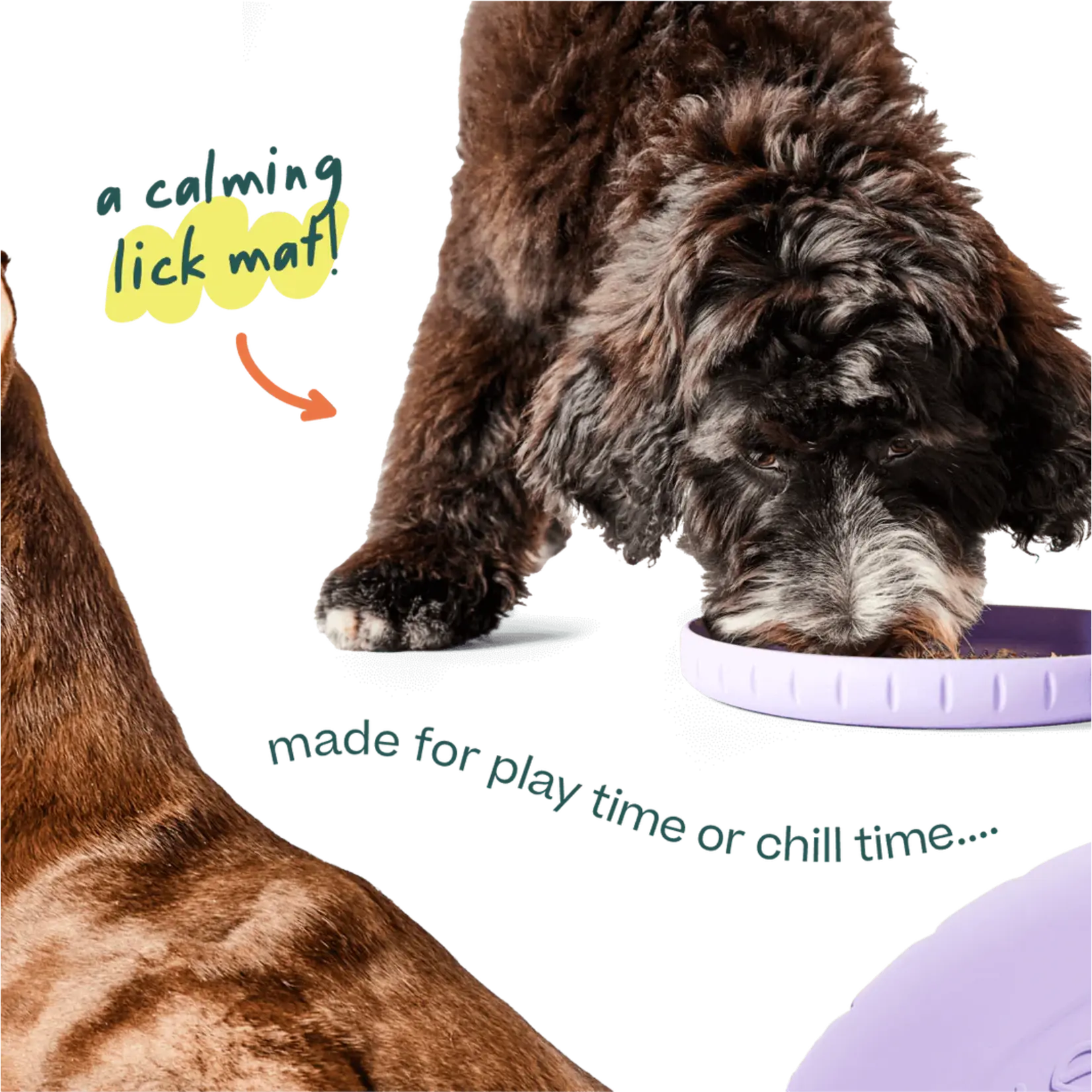 Fly n' Feed - Lick Mat Fetch Disc - Woof :