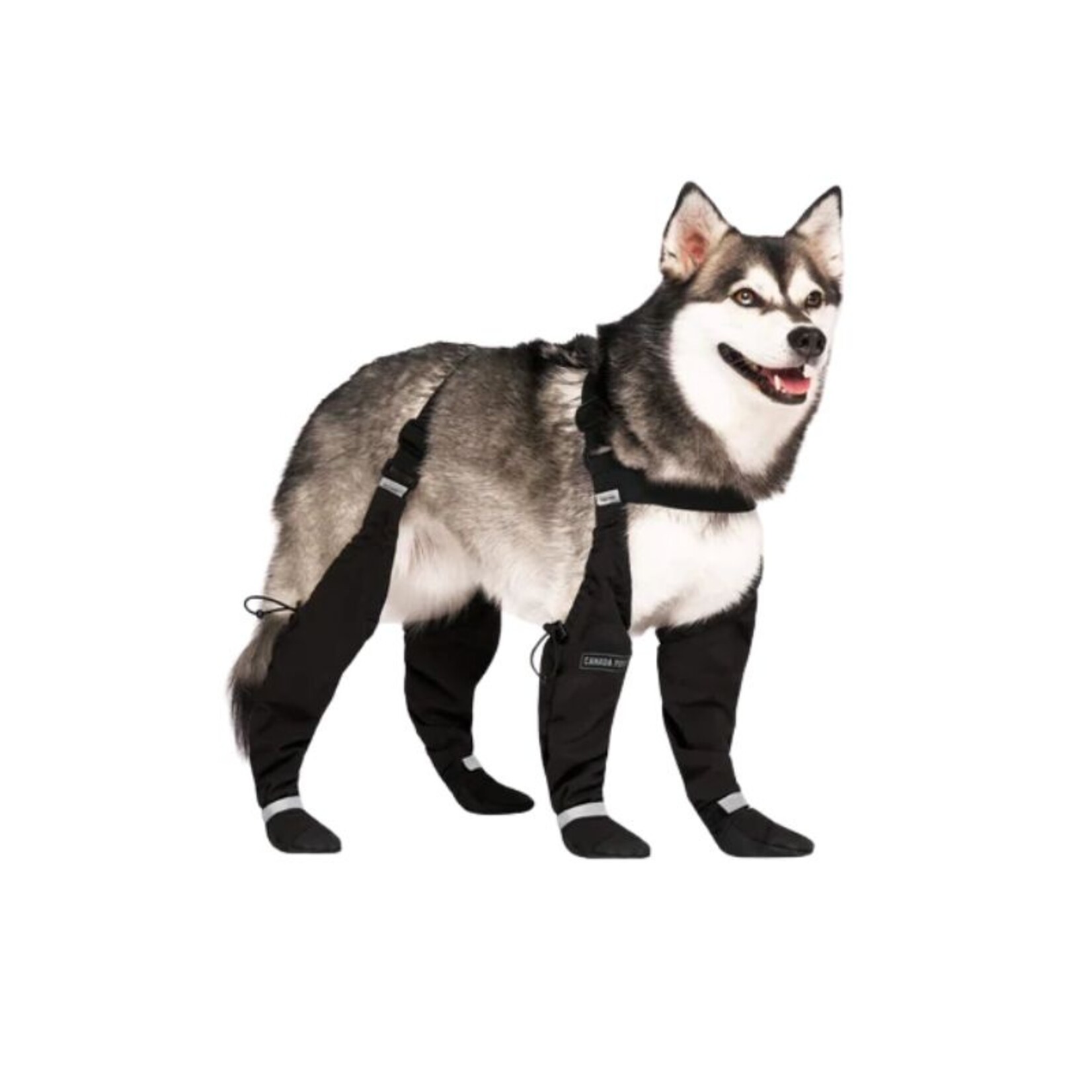 Canada Pooch Suspender Boots - Canada Pooch :