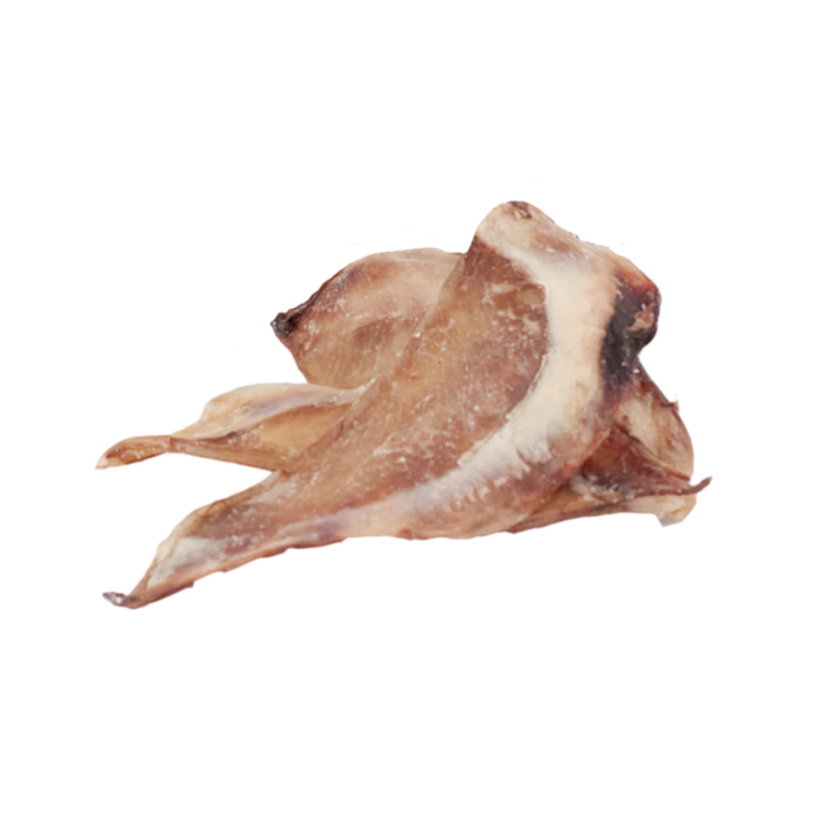 Great Dog Co. Bison Scapula - Cartilage Dog Chew - Great Dog Co.