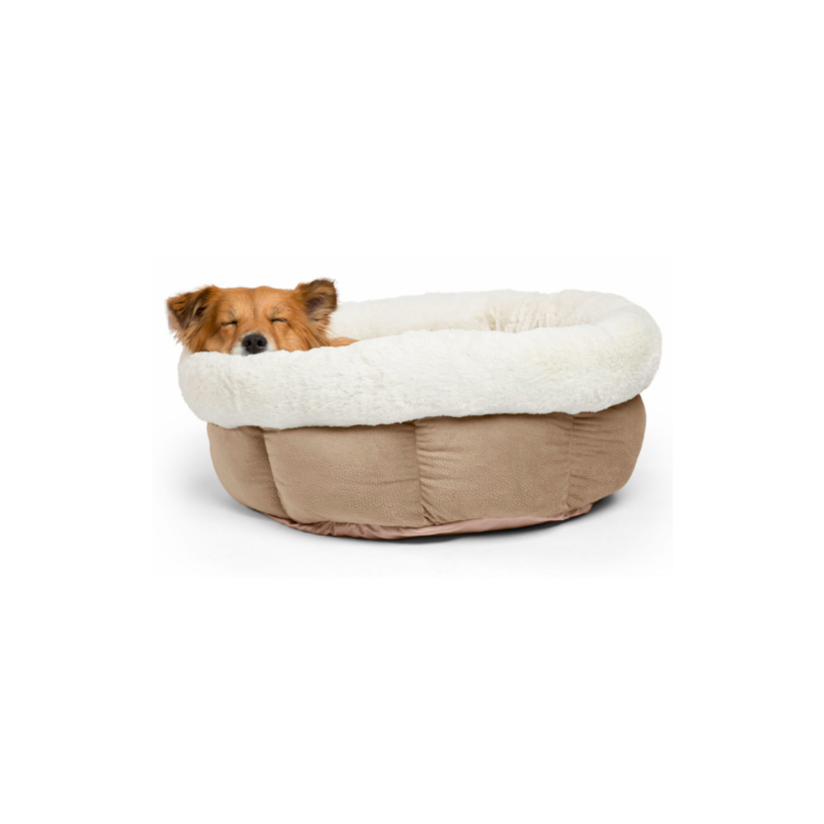 Catstages / Outward Hound Cuddle Cup - Walled Pet Bed - Outward Hound :