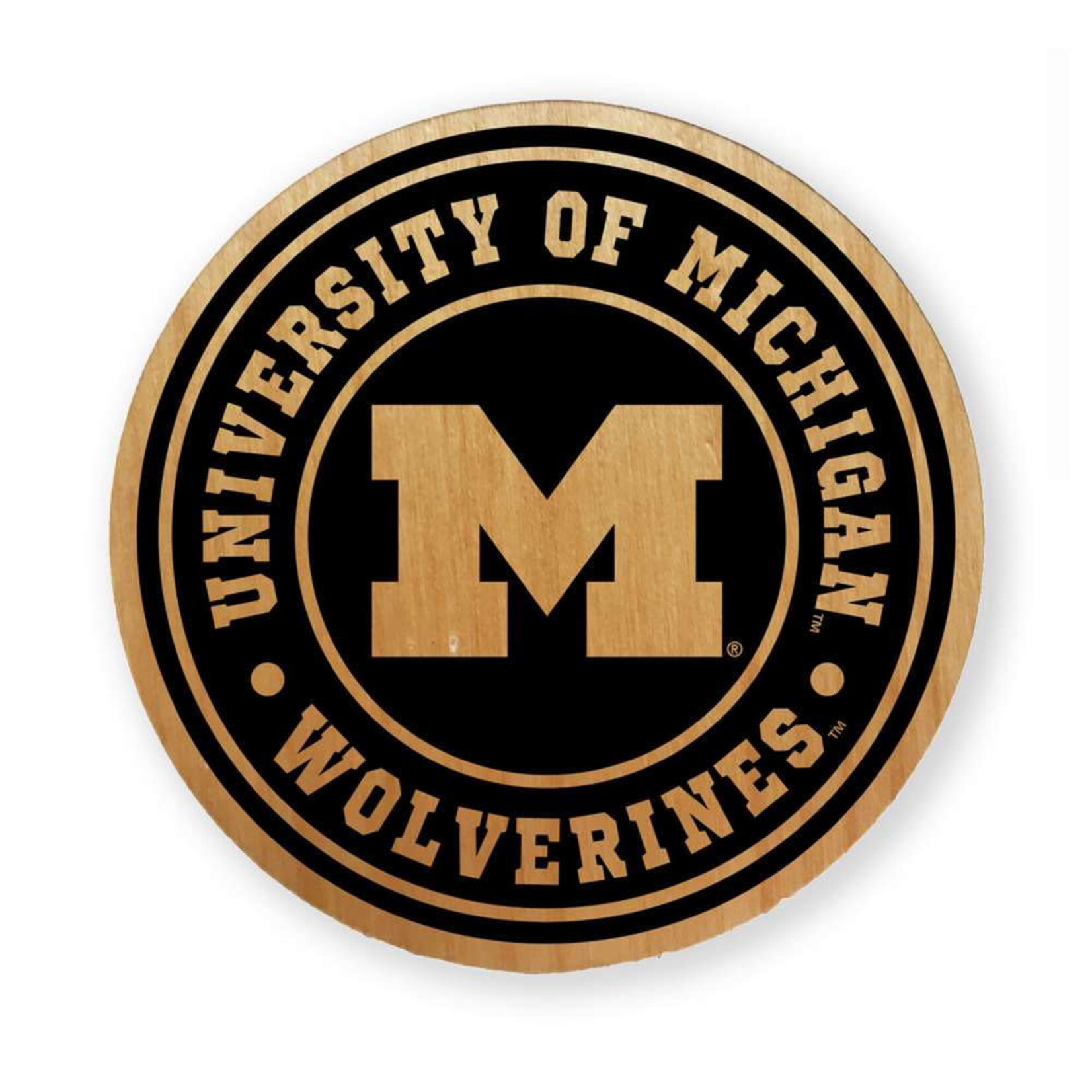 Timeless Etchings NCAA Michigan Wolverines Magnet