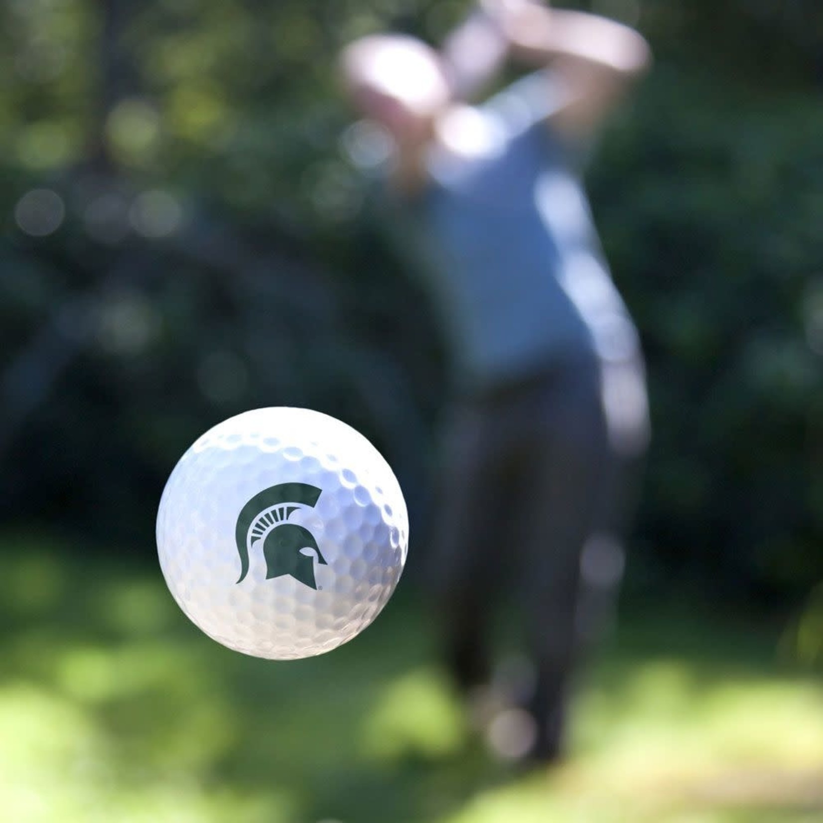 Team Effort NCAA Michigan State Spartans 3 Golf Balls In Clamshell
