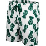 Colosseum Athletics Michigan State Spartans Mens Swim shorts Pineapples