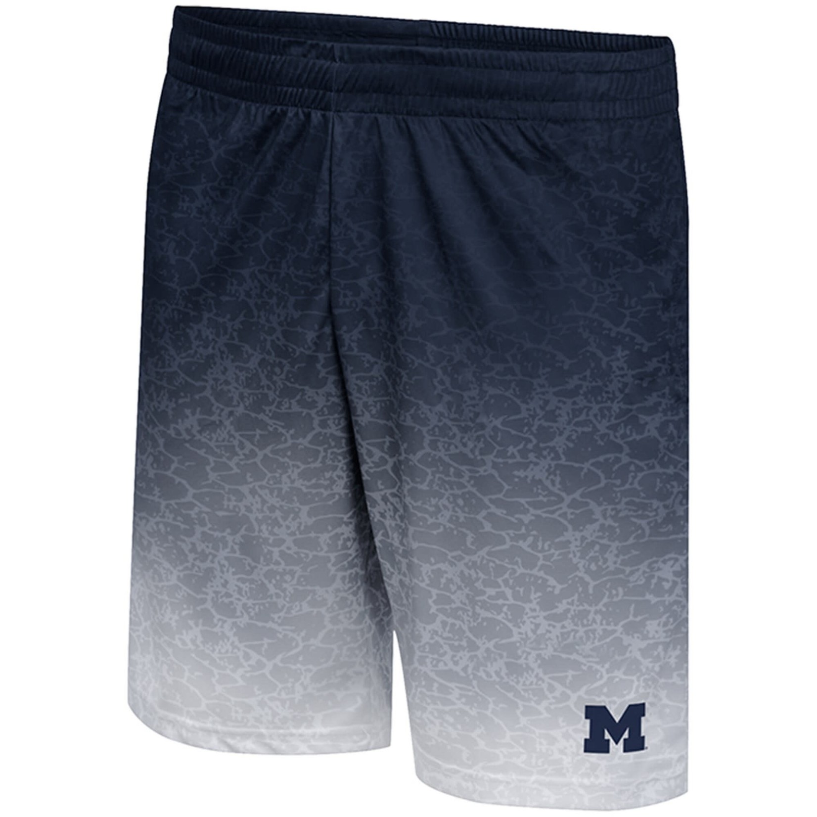 Colosseum Athletics NCAA Michigan Wolverines Mens Shorts Walter