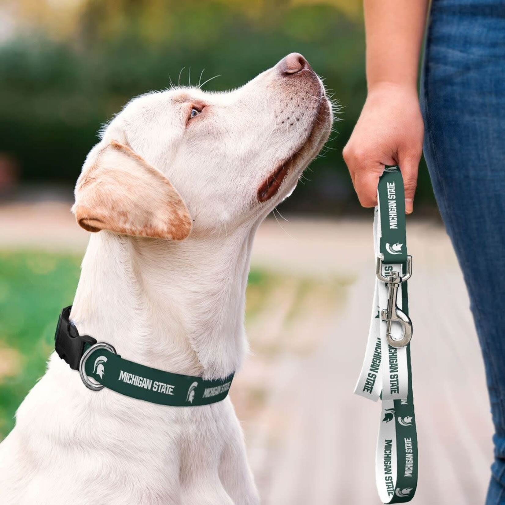 Wincraft NCAA Michigan State Spartans Adjustable Pet Collar