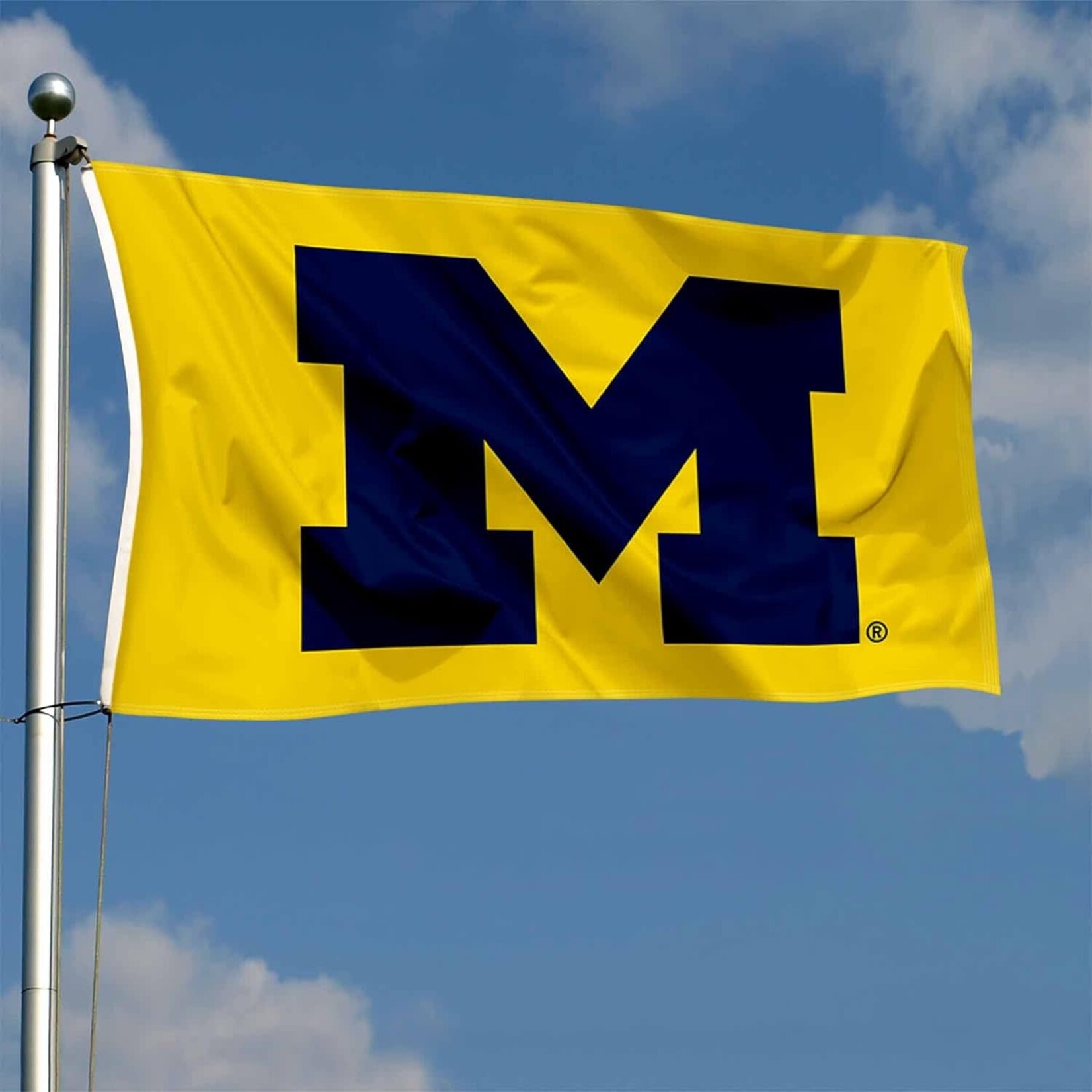 Sewing Concepts Michigan Wolverines Flag 3' x 5' Gold w/ Navy M