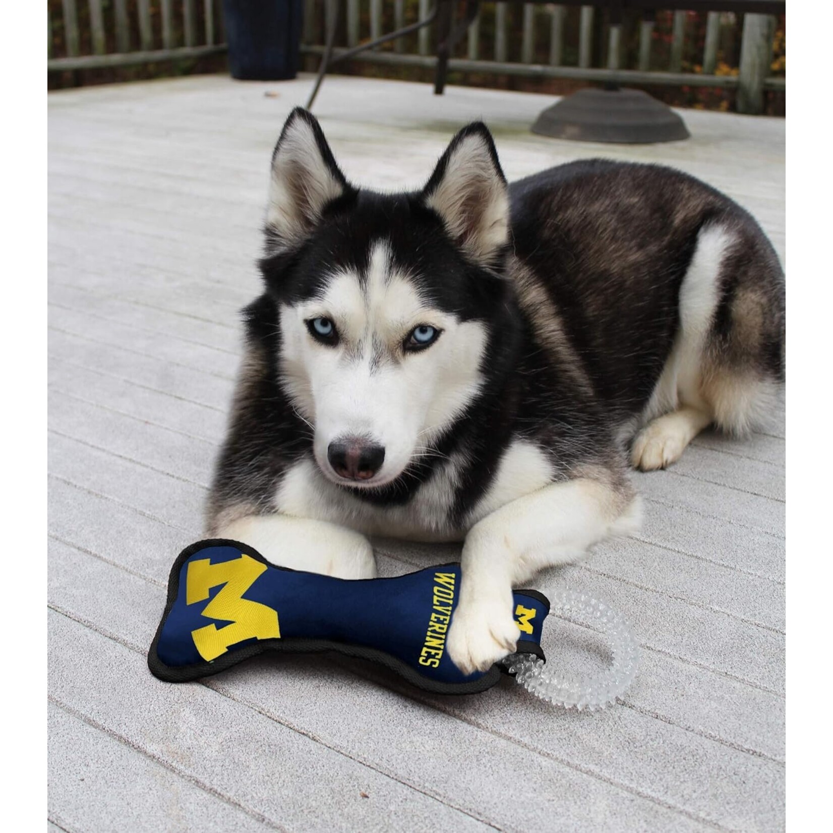 Pets First Inc University of Michigan Wolverines Pet Dental Bone Toy